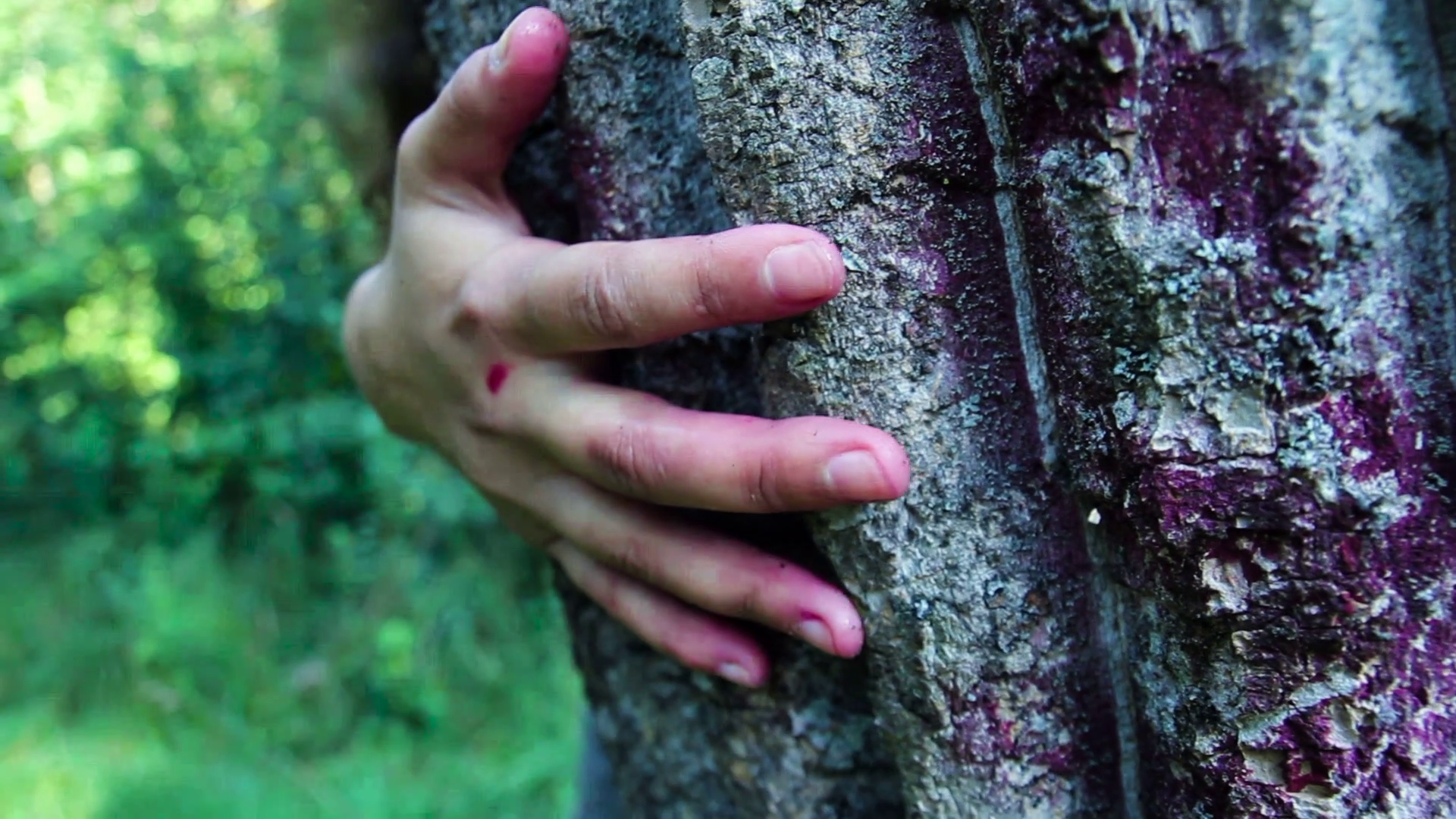 Horror Scene with Bloody Hand hiding behind tree Stock Video Footage ...