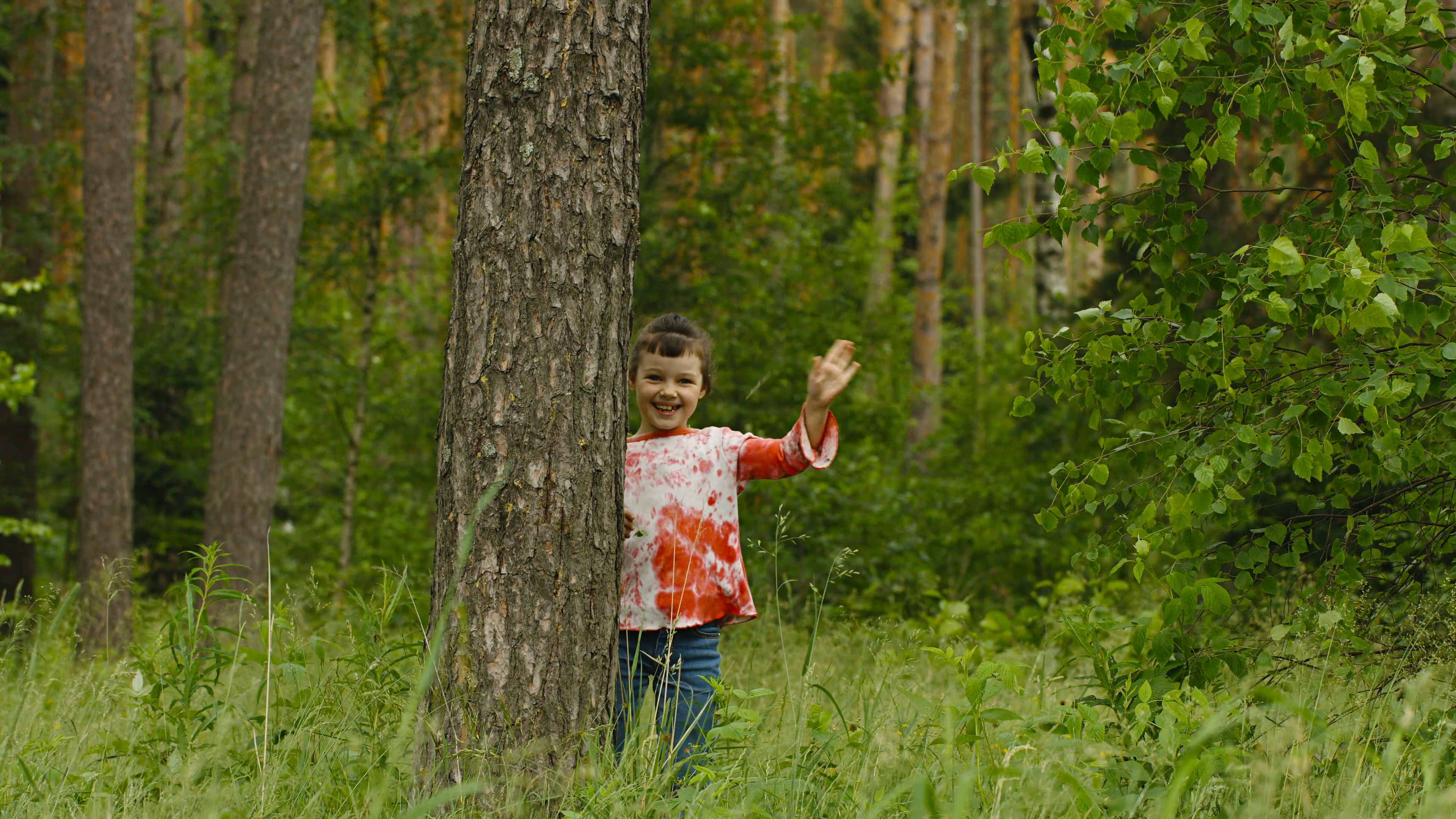 Happy child hiding behind a tree in the forest Stock Video Footage ...