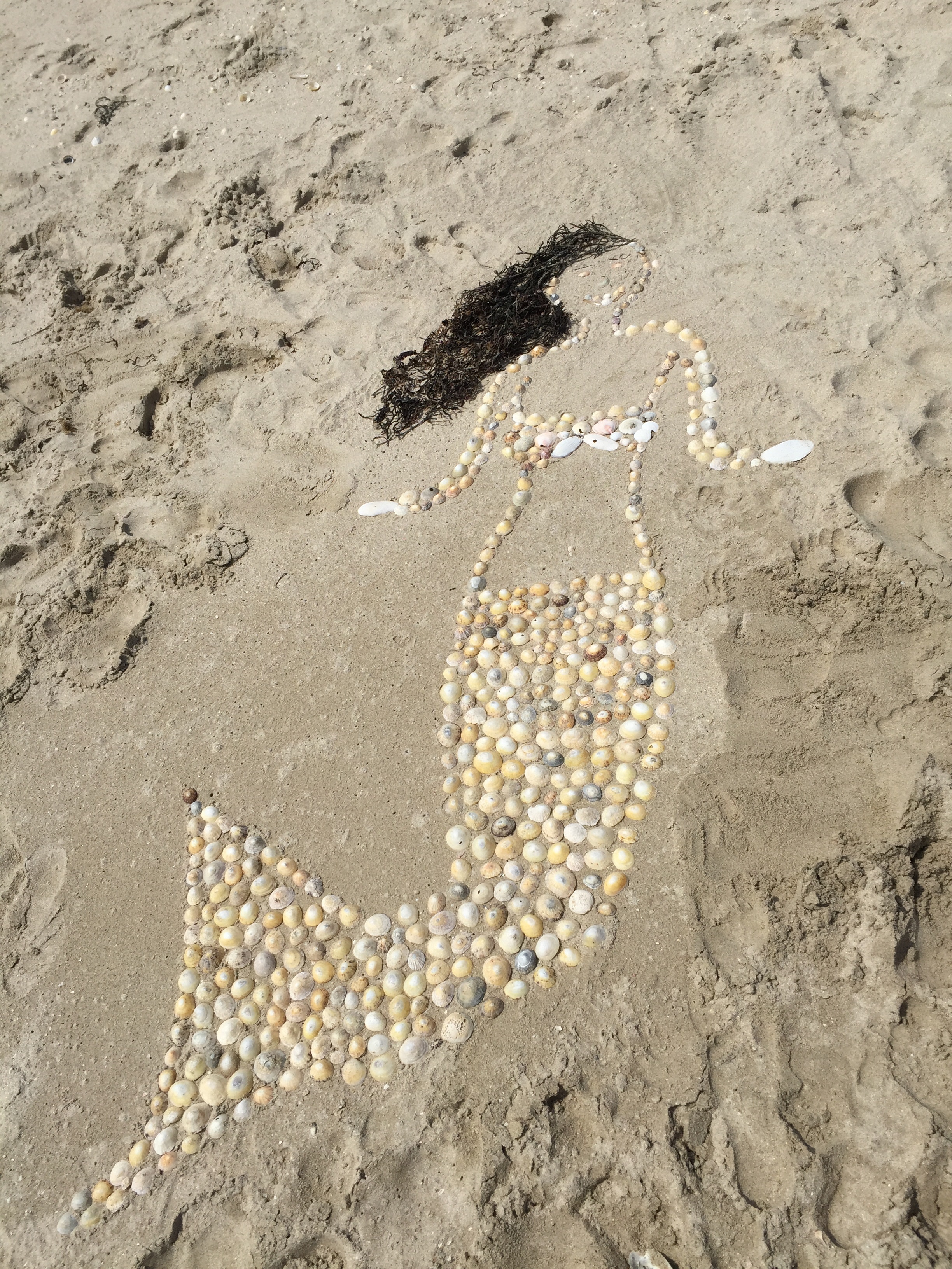Beige Sea Clams Mermaid Figure on Seashore, Abstract, Pebbles, Vacation, Travel, HQ Photo