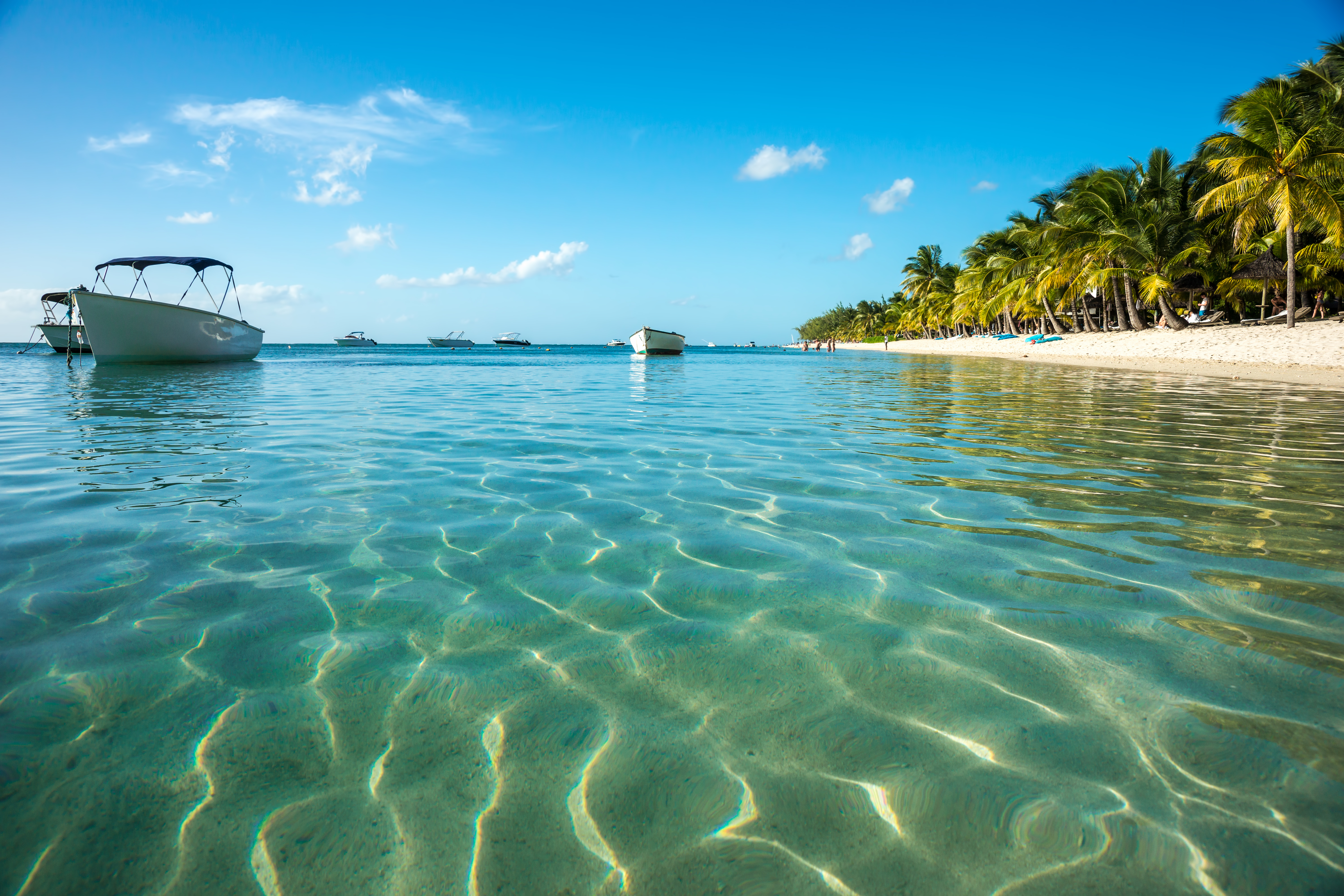 5 Things You Must Do During Your Next Trip to Belize