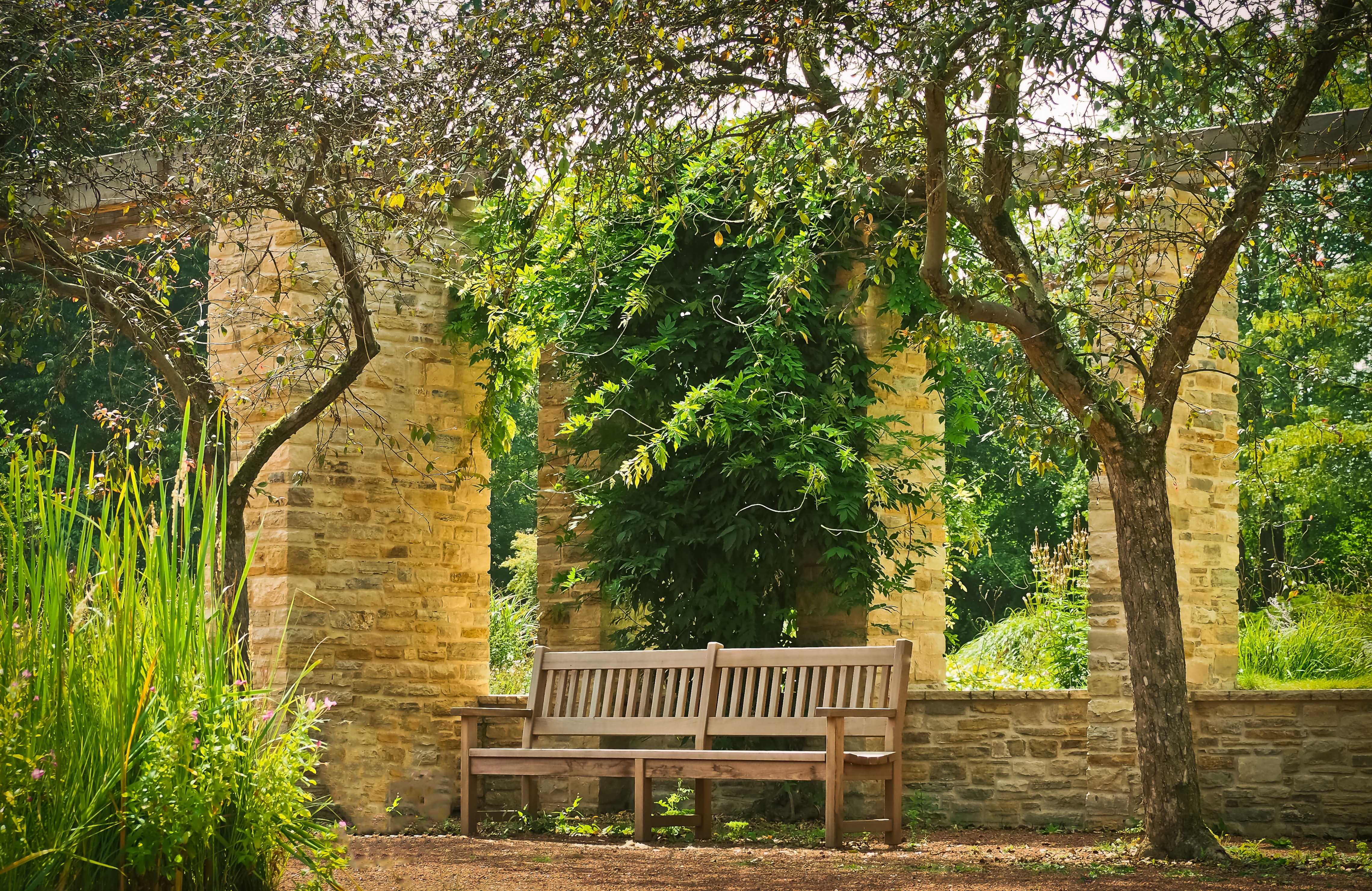 Bench Between the Two Trees, Architecture, Plants, Trees, Sun, HQ Photo