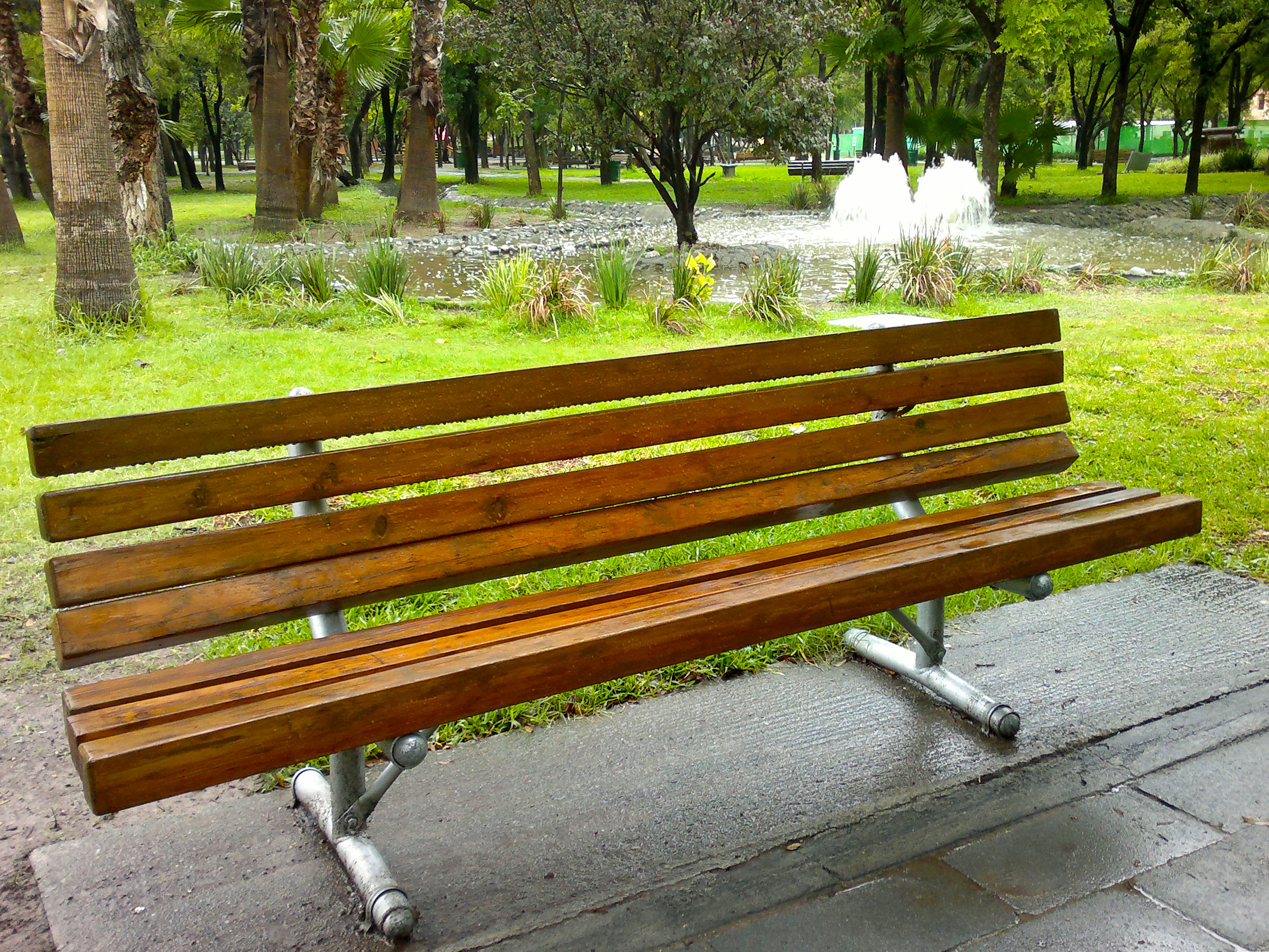 Bench in a park photo