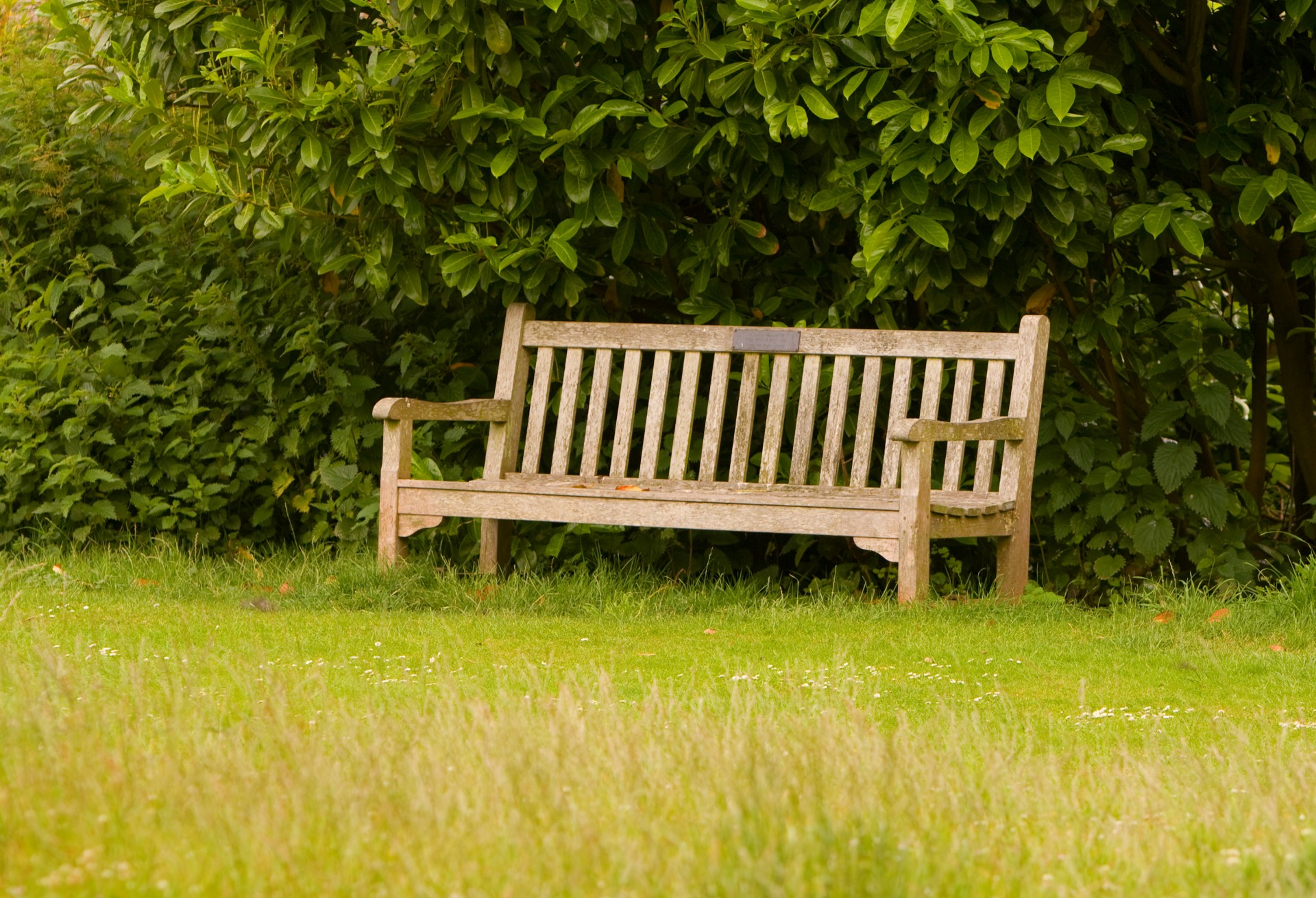 Bench In Park Free Stock Photo - Public Domain Pictures