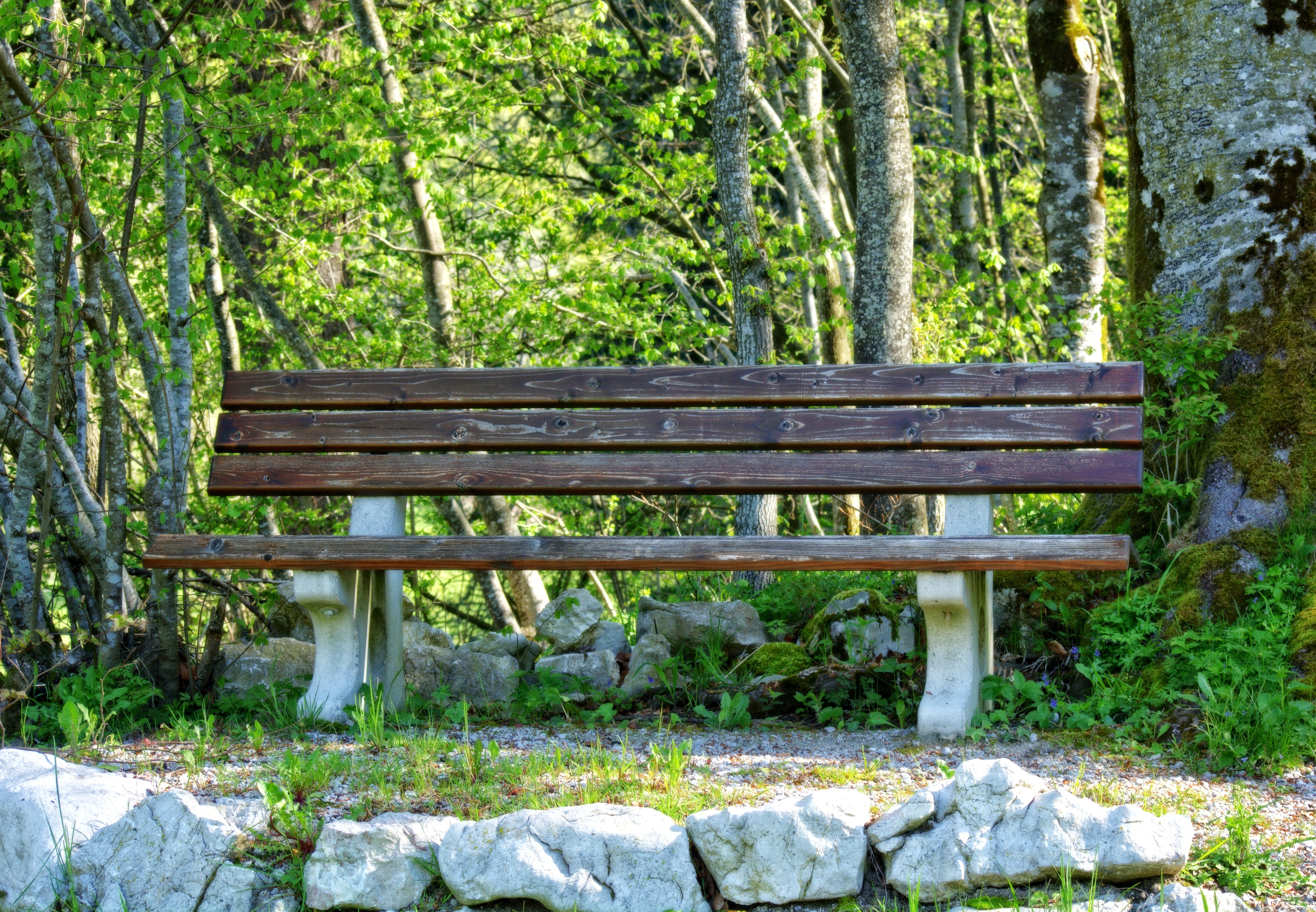 Bench in park photo