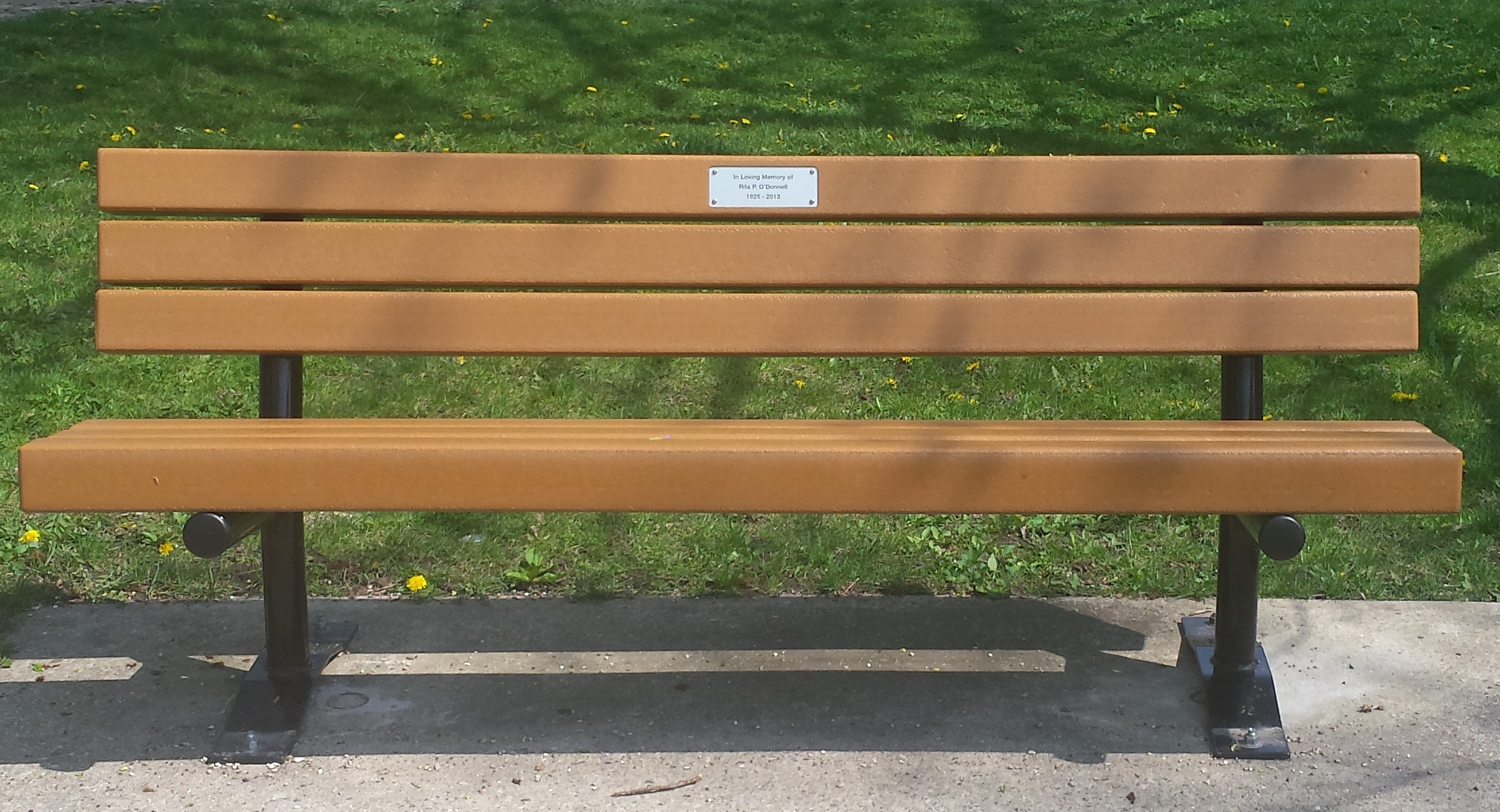 Park benches photo