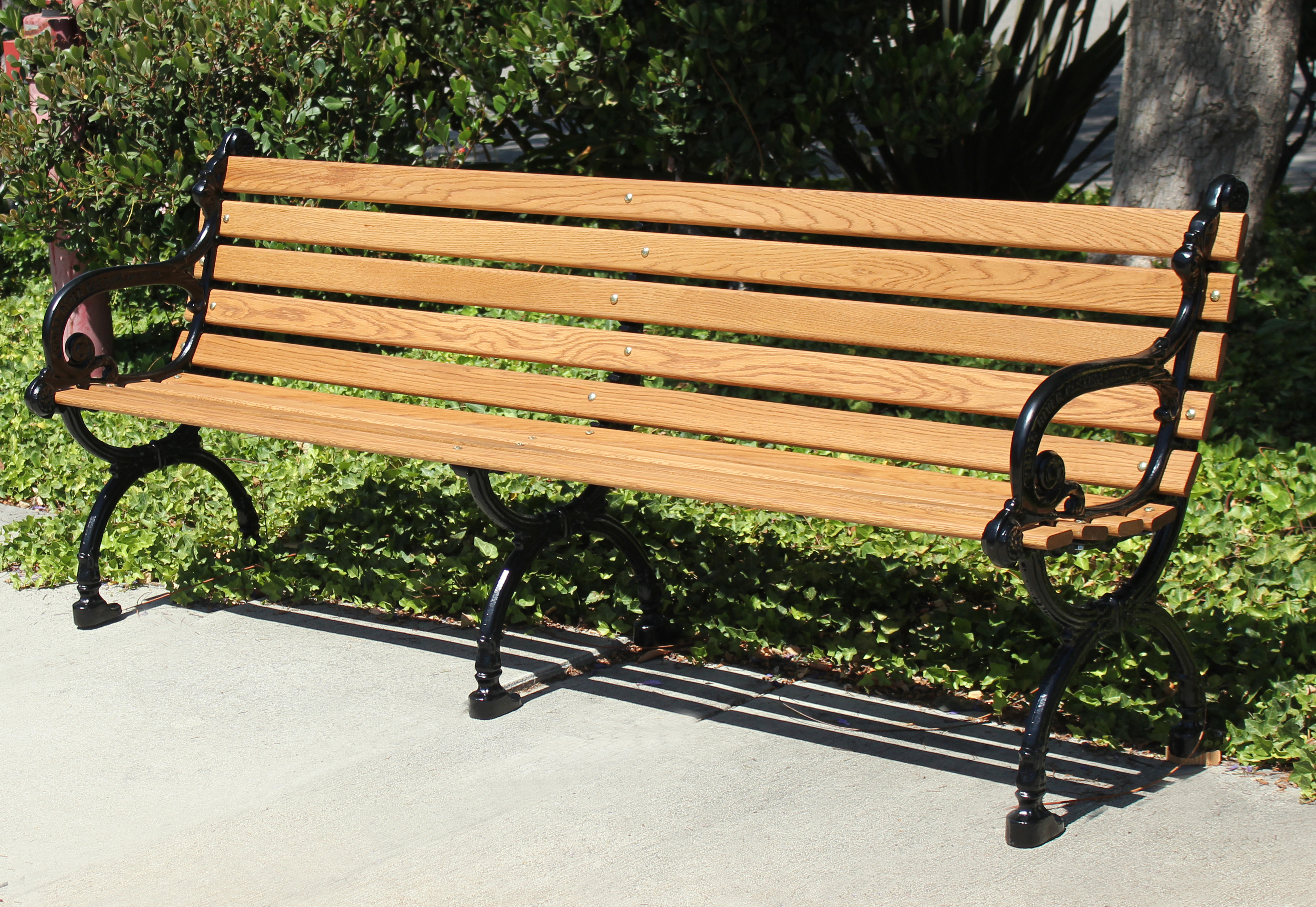 bench-in-park-5.jpg