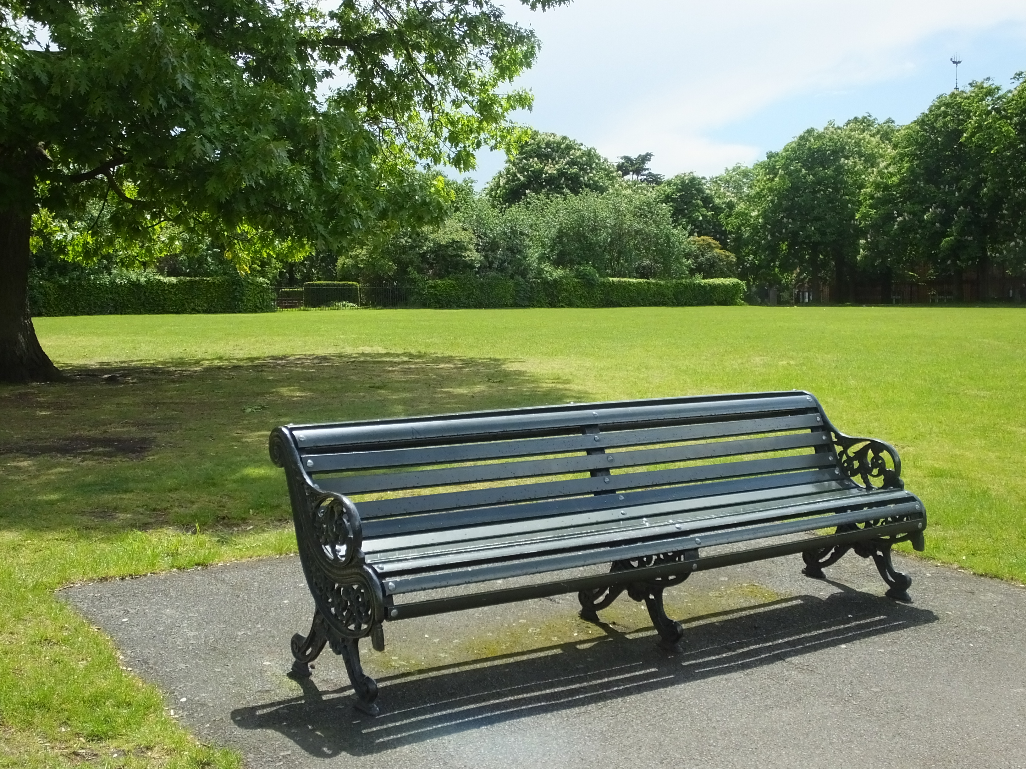Bench in park photo