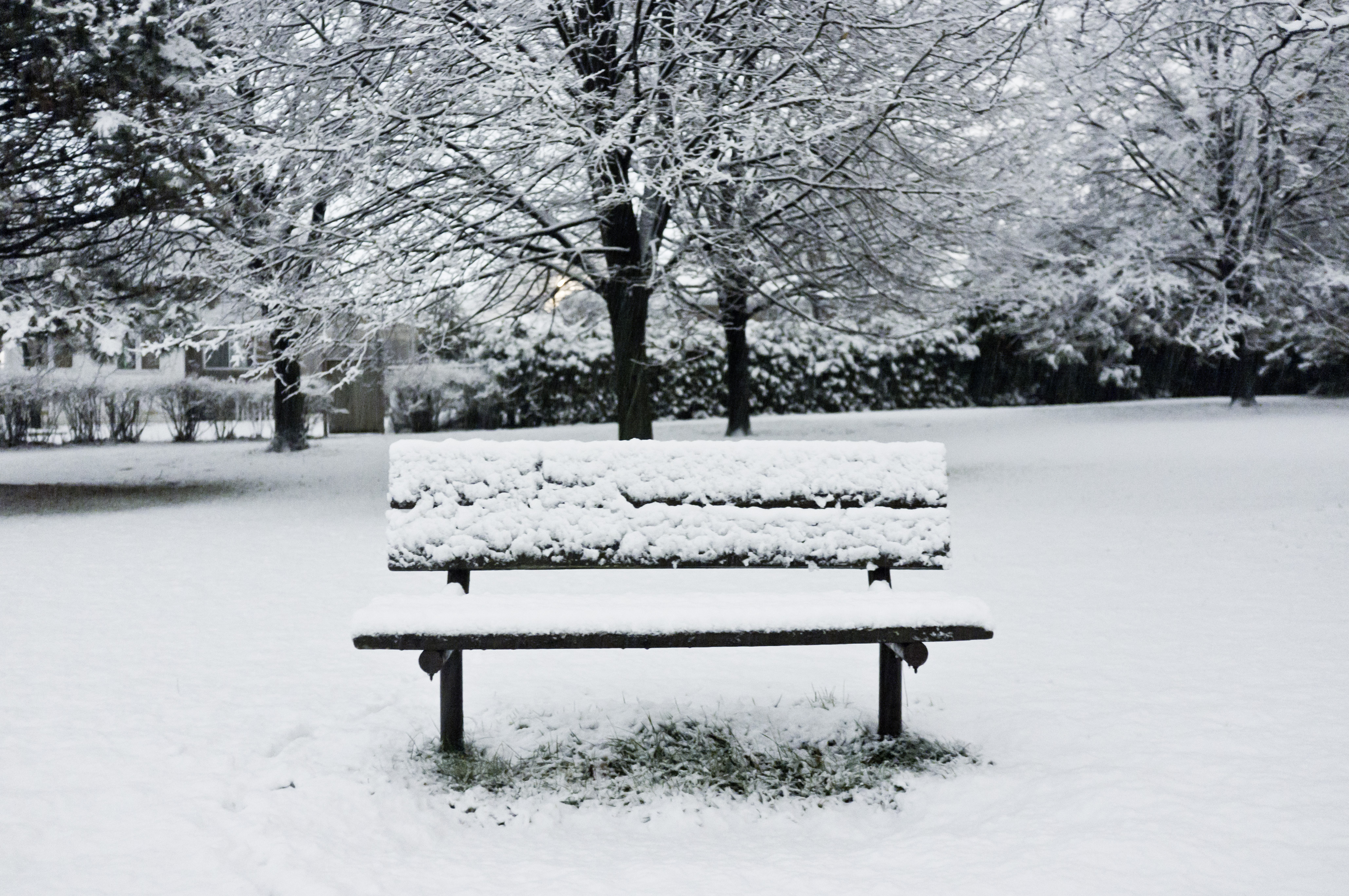 Bench in snow photo
