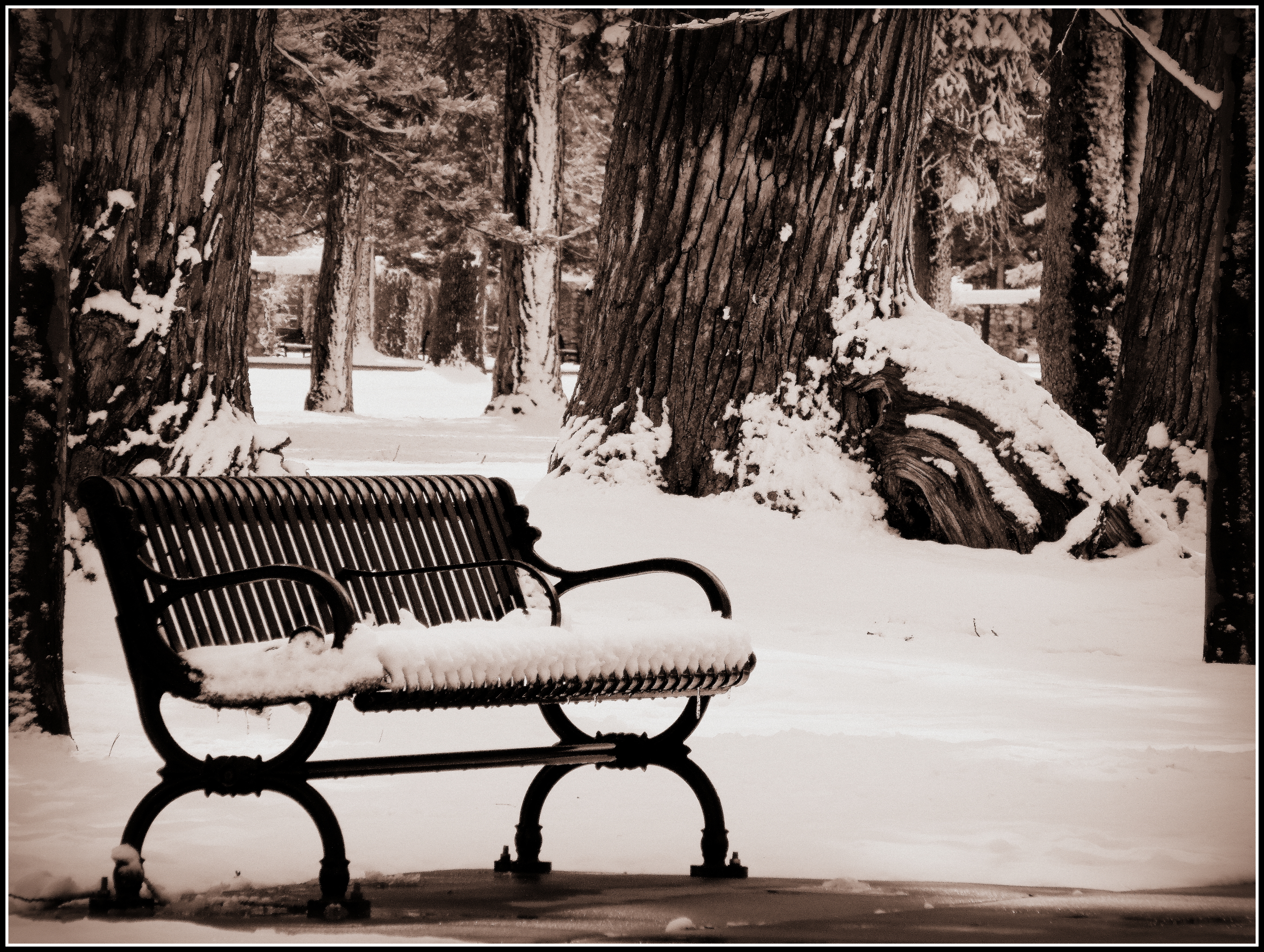 Park bench…. | Scott's Place...Images and Words