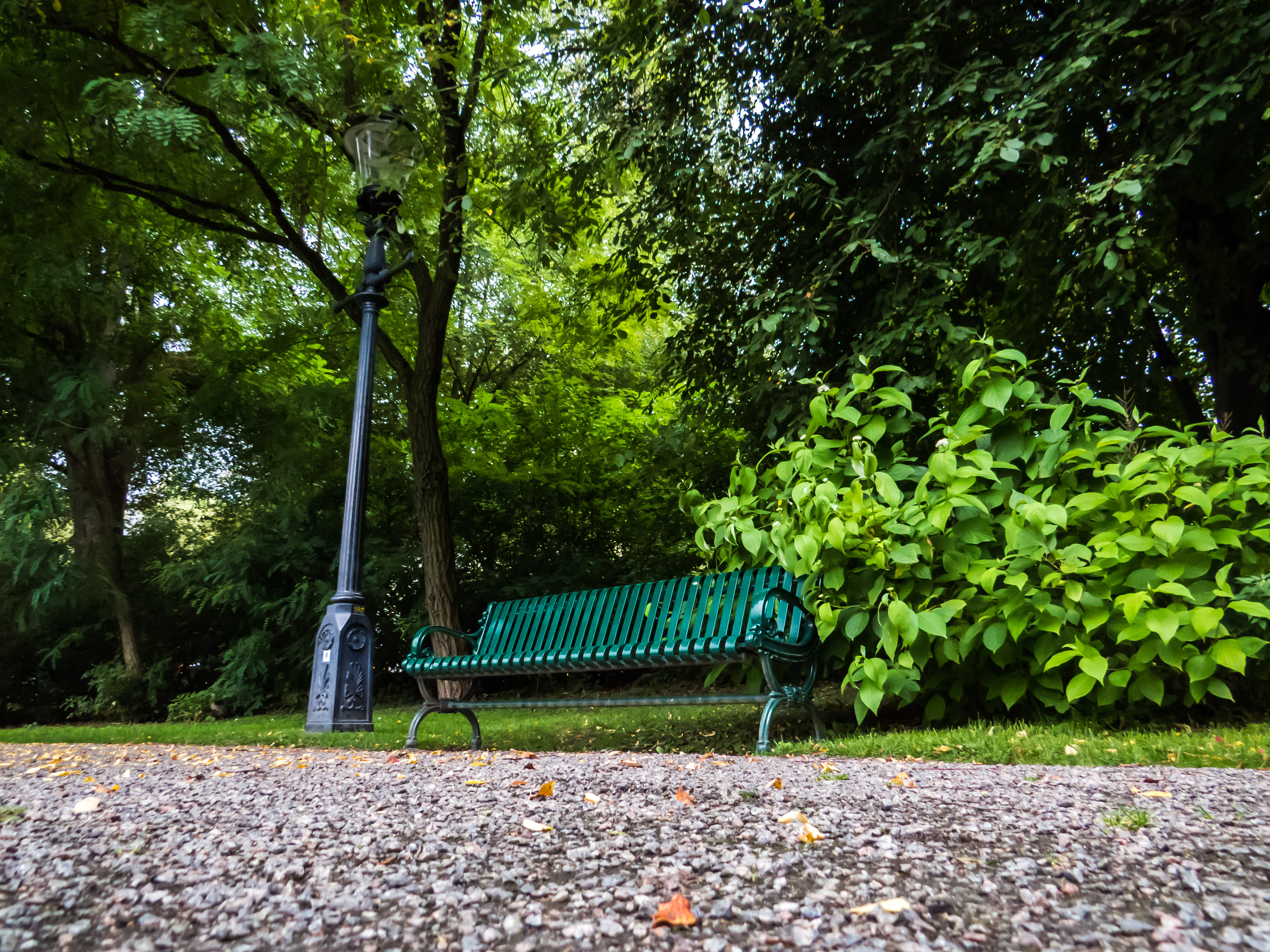 Bench in the park photo