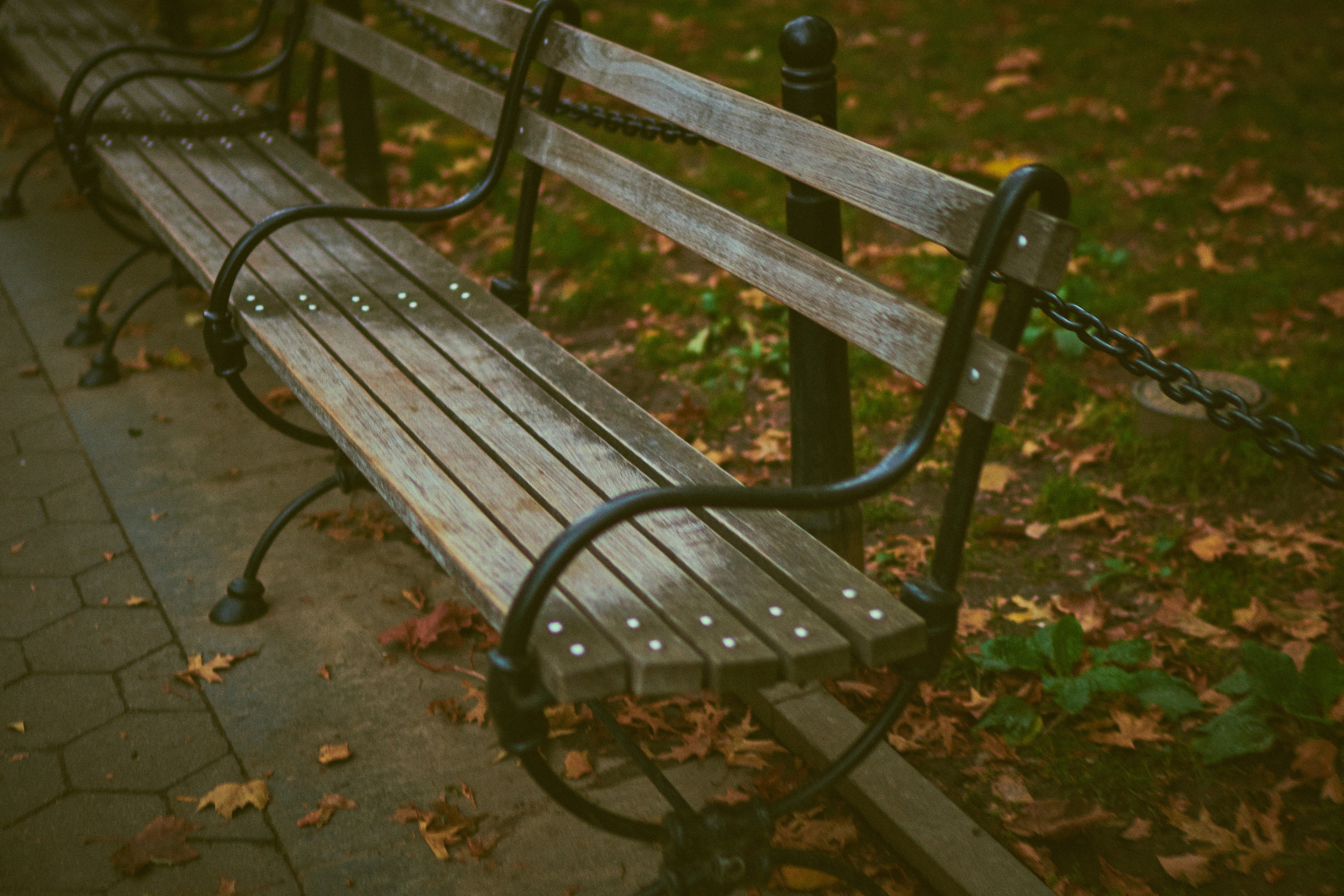 Free photo: Bench Seats - Grass, Park bench, Park - Free Download - Jooinn
