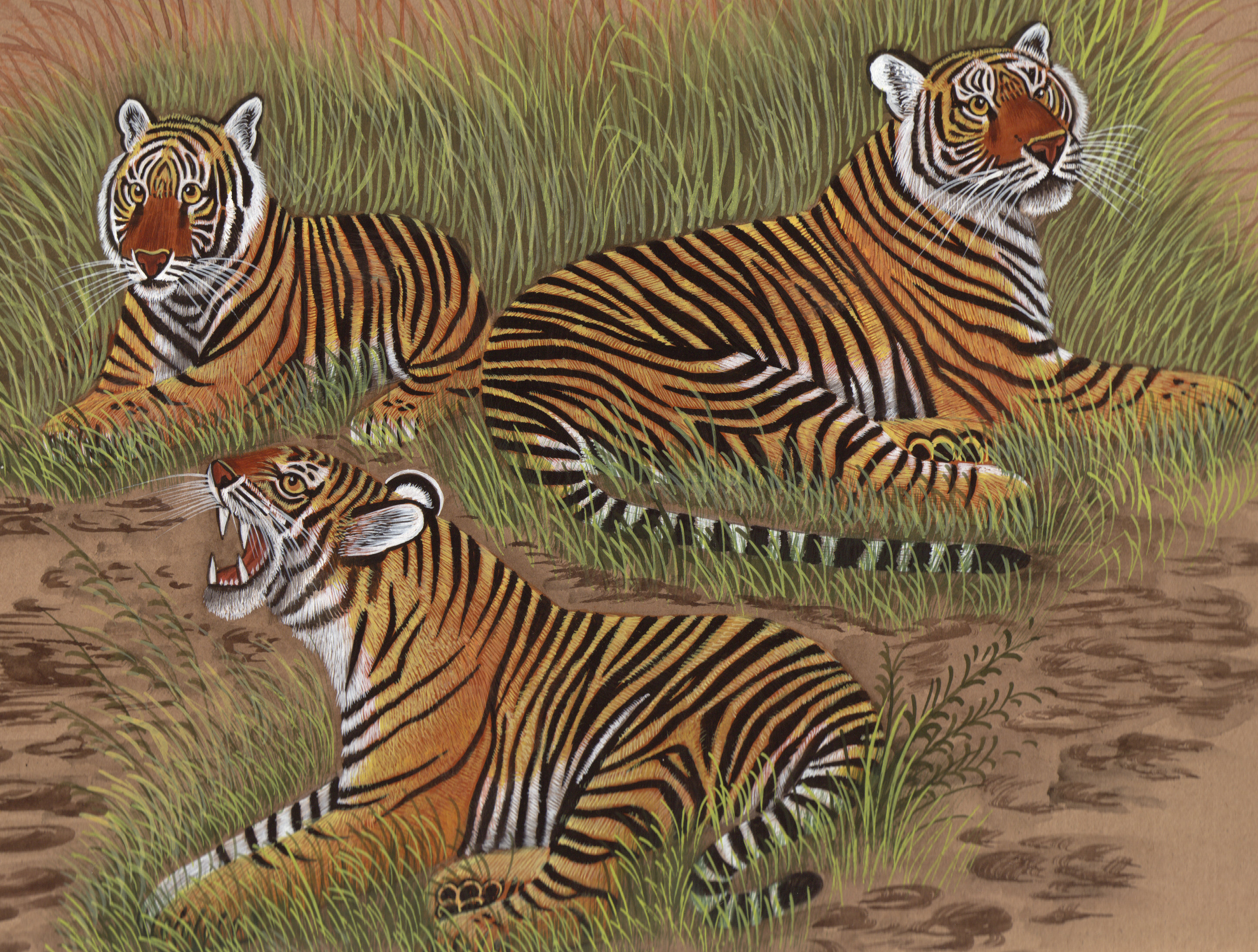 Royal Bengal Tiger Painting Hand Painted Indian Wild Life Nature ...