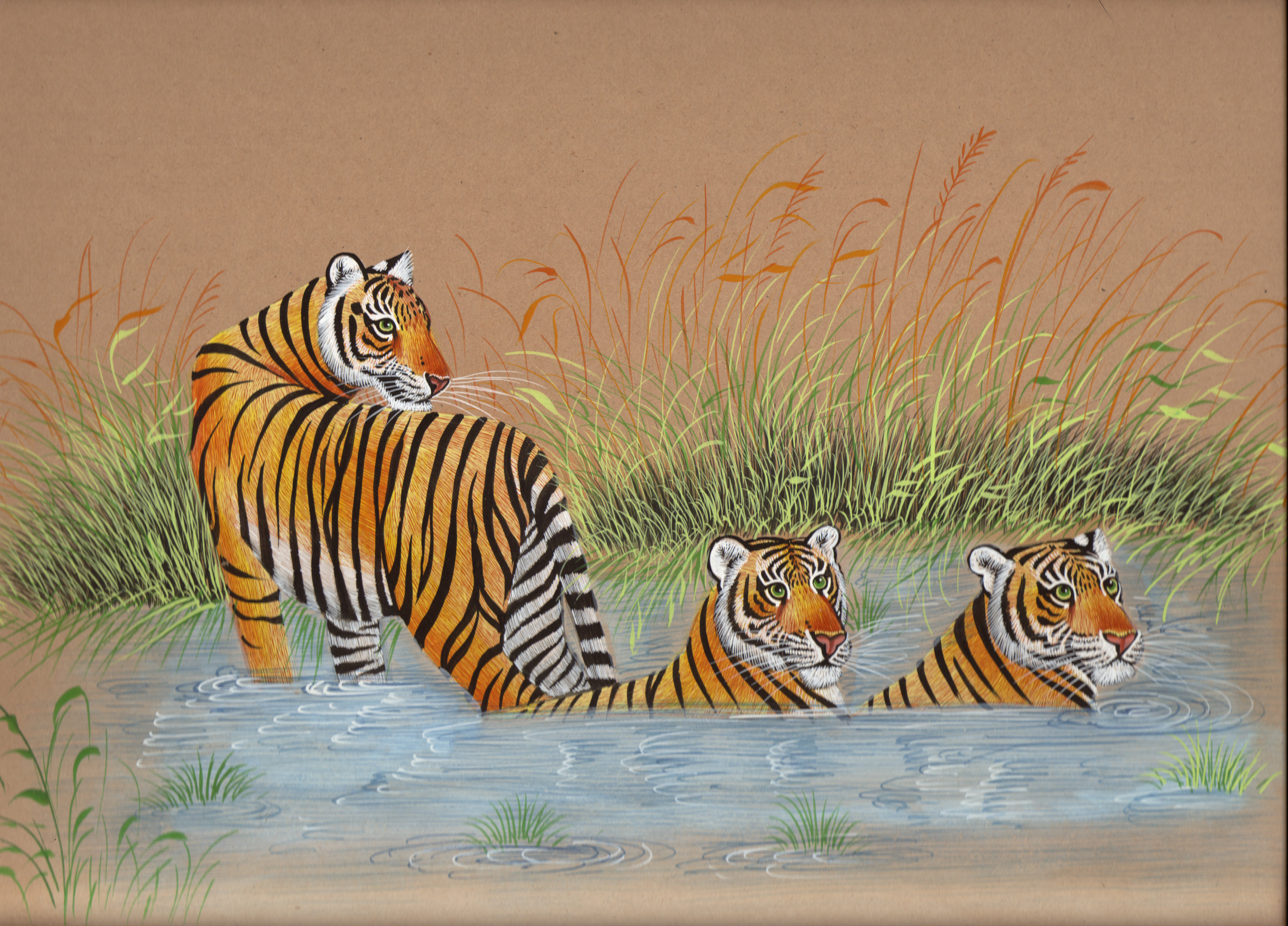 Royal Bengal Tiger Art Hand Painted Indian Wild Life Nature ...