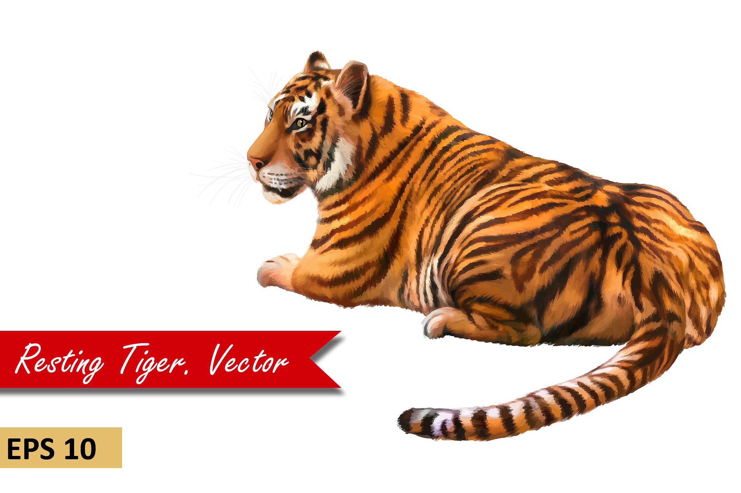 Bengal Tiger resting, laying, Vector ~ Objects ~ Creative Market