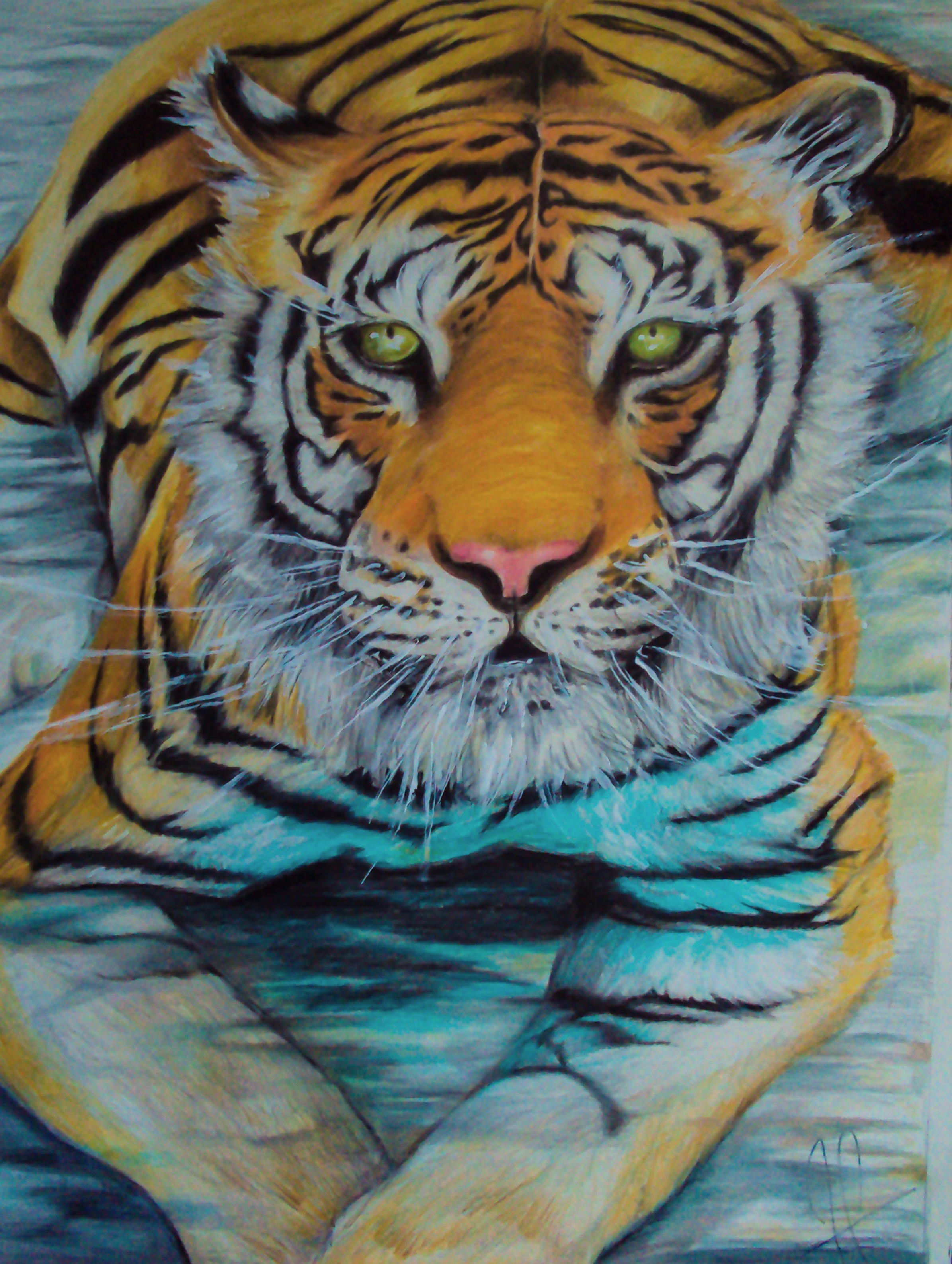 Bengal tiger in water by Kentcharm on DeviantArt