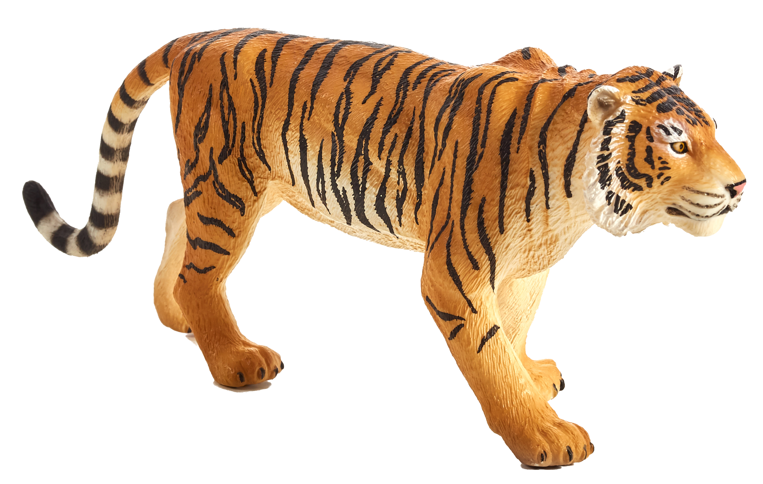 Bengal Tiger - Mojo