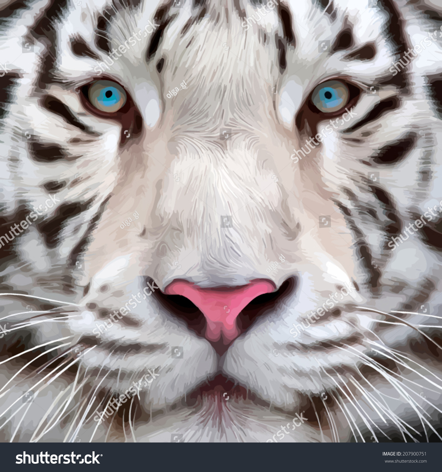 Colorful Closeup Portrait White Bengal Tiger Stock Vector 207900751 ...