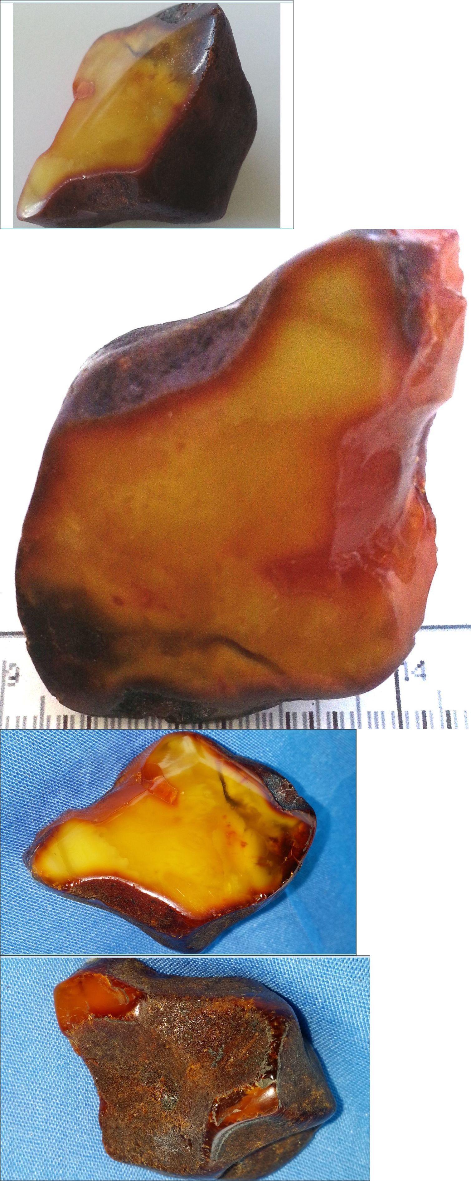 Amber 10191: Rare Natural Raw Baltic Amber Stone Bernstein 21 Gr ...