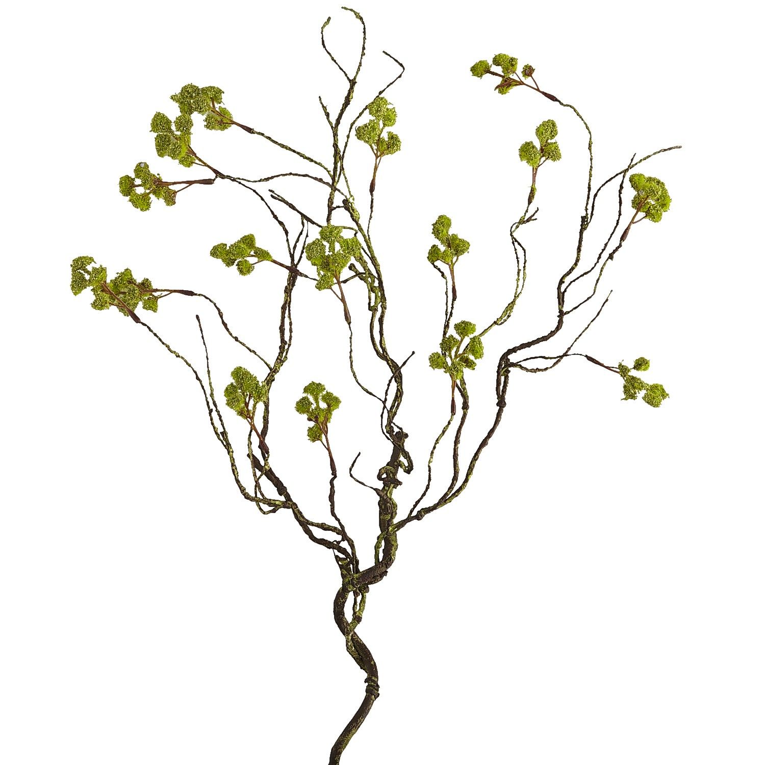 Faux Green Berry Branch | Pier 1 Imports
