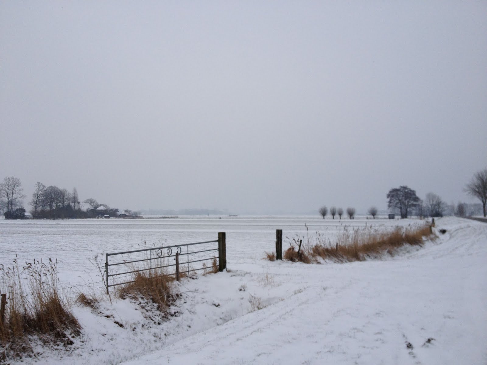 Vandijkonline - weblog: Nog eens sneeuw in de polder
