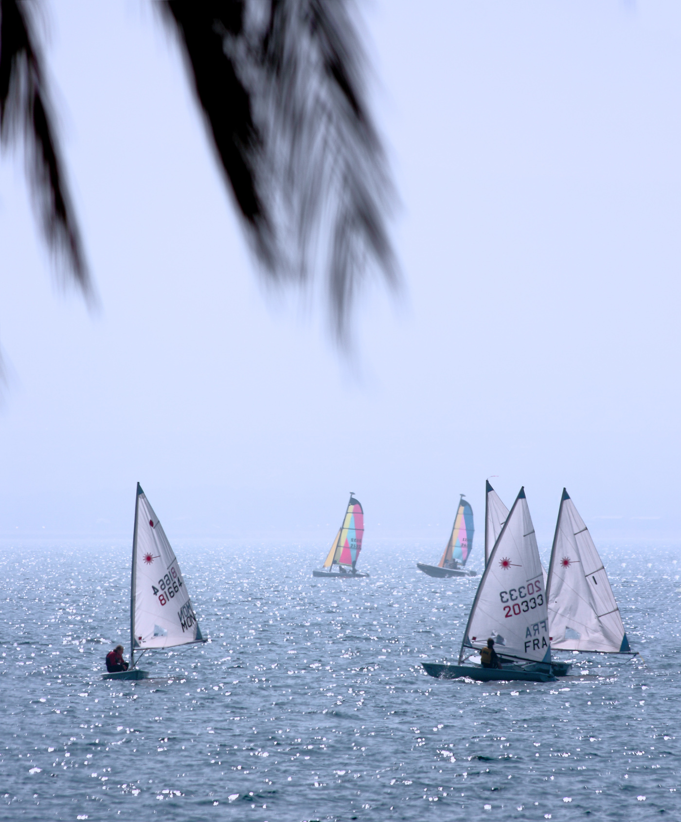 Best leisure activity - sailing race on the ocean photo