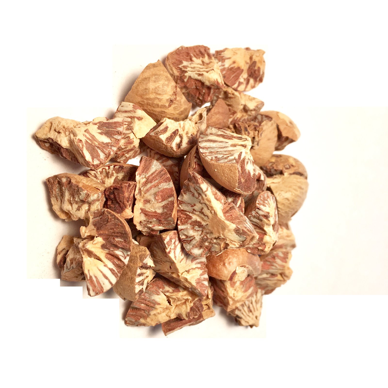 Betel Nut (Areca catechu) A-Grade Supari Nuts (Whole, Sliced or ...