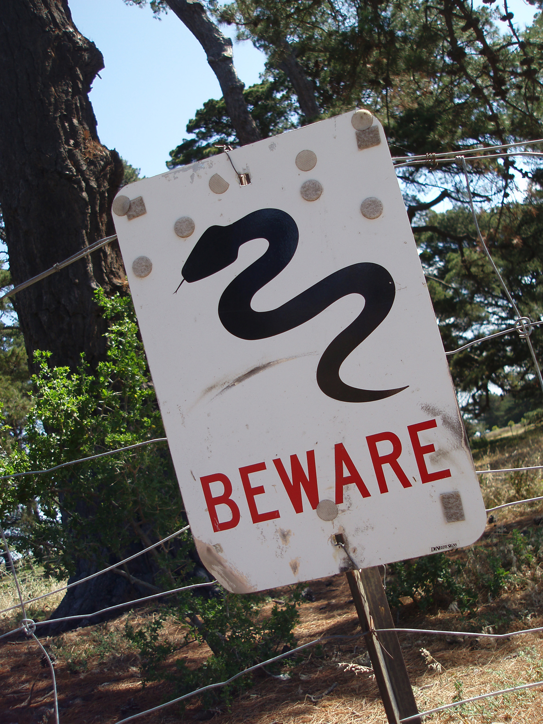 Photo of snake warning | Free australian stock images