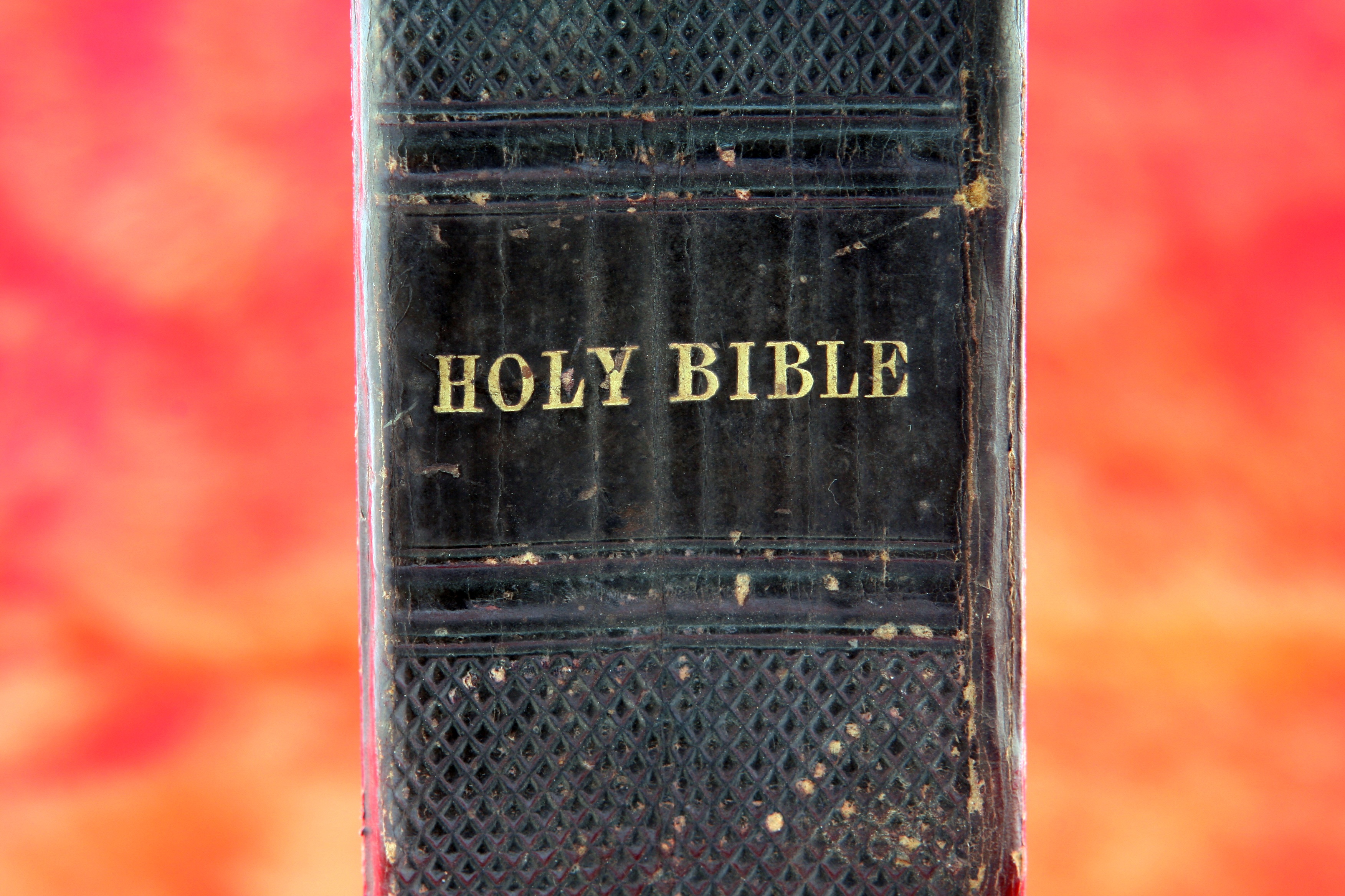 Bible photo