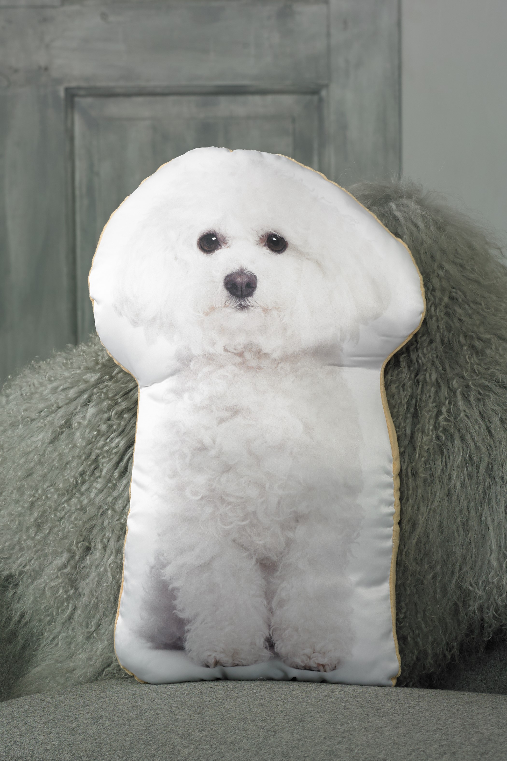 Bichon Frise Cushion - Dog Exhibitor