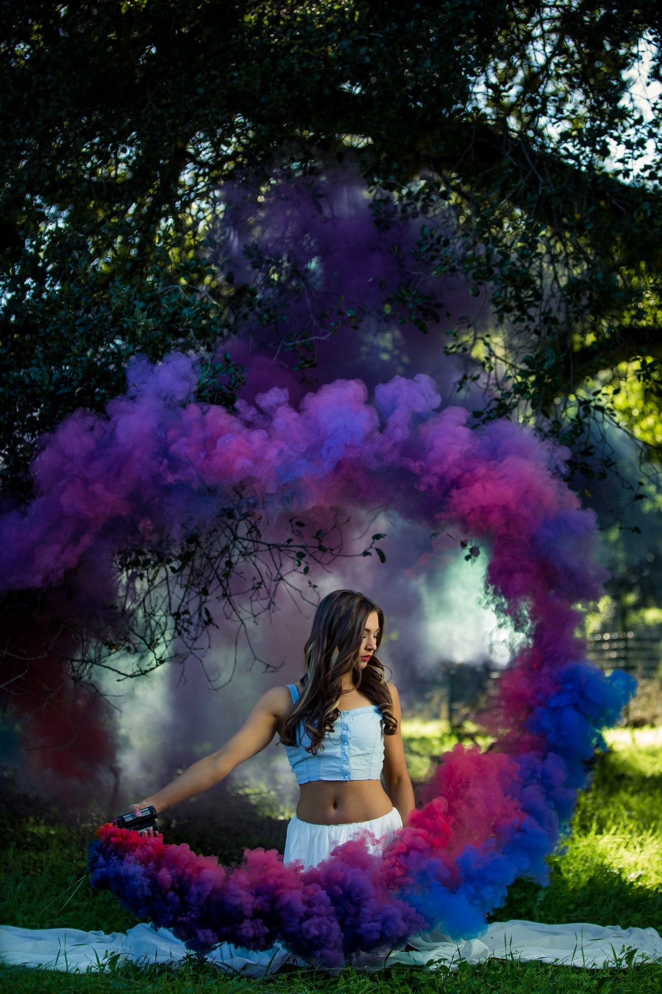 Smoke grenade circle | Smoke bomb | purple Smoke | Smoke Portrait ...