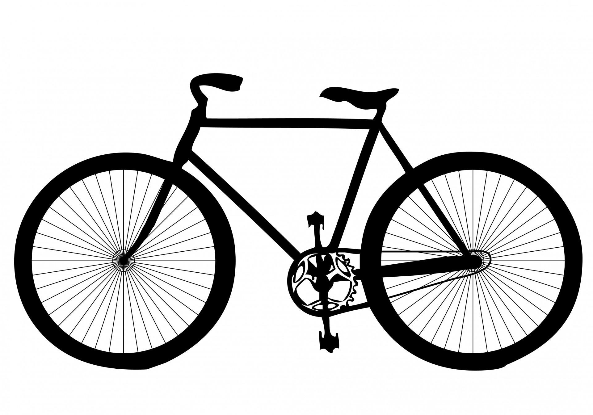Bicycle photo