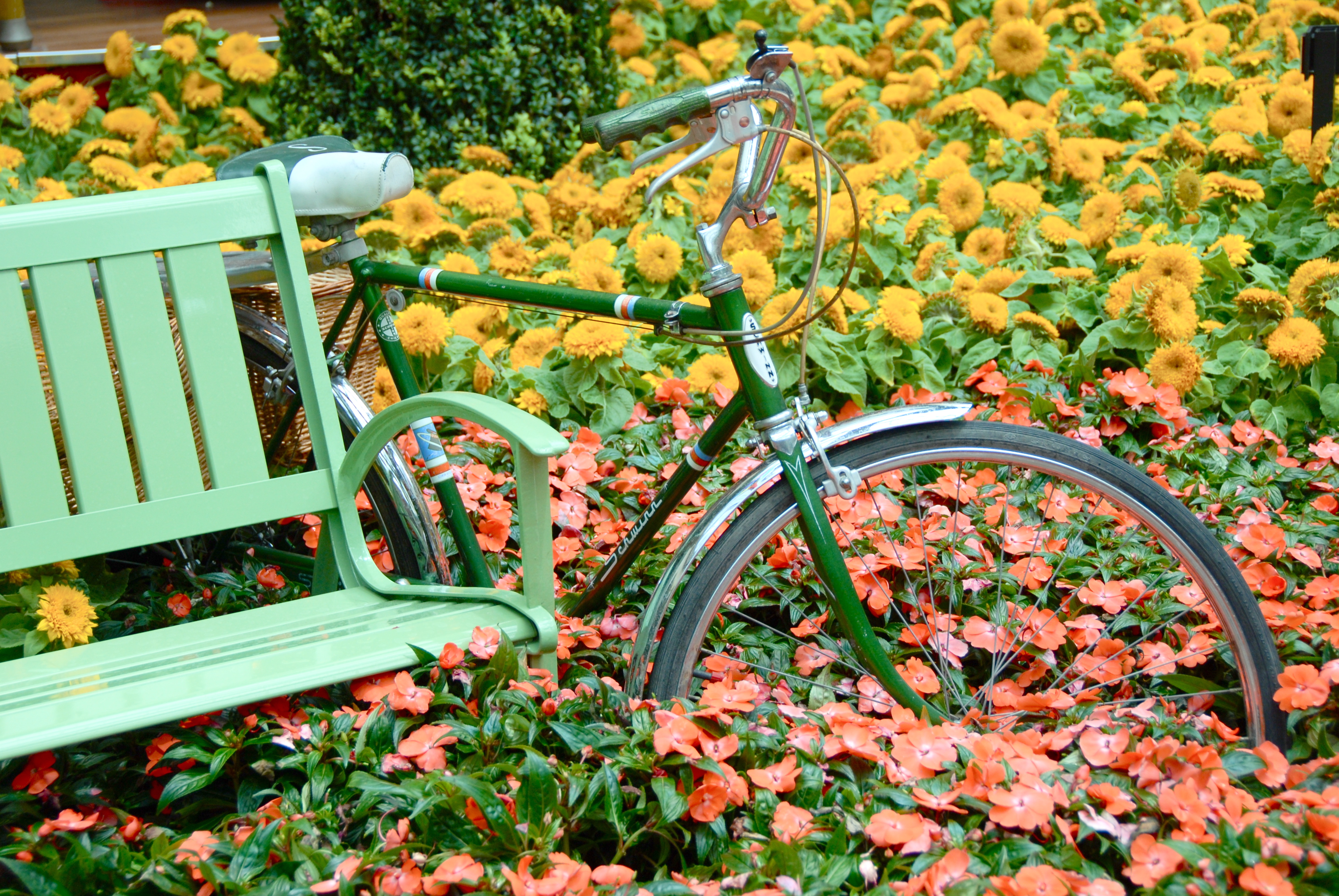 Bicycle in the Flower Garden, Abstract, Bench, Bicycle, Bike, HQ Photo