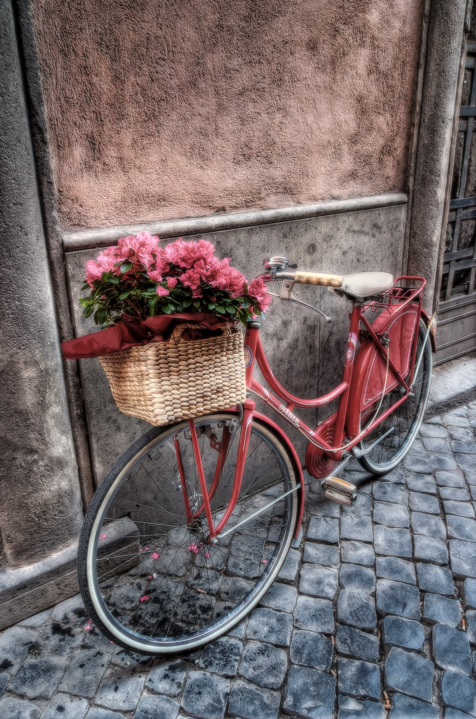flowers on the bicycle | HDR creme