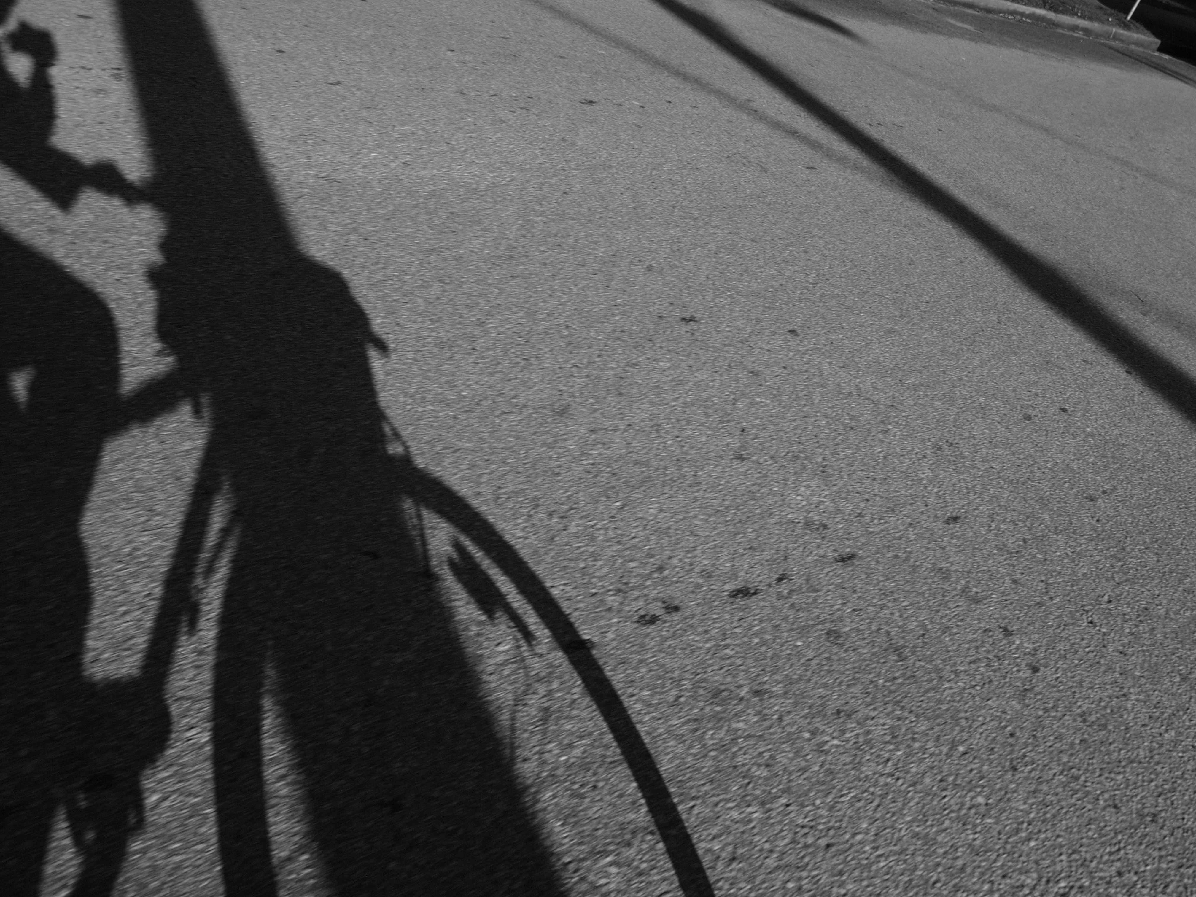 Bicycling to work epl1-vancouver-14-42mm-20130415-p4152128 photo