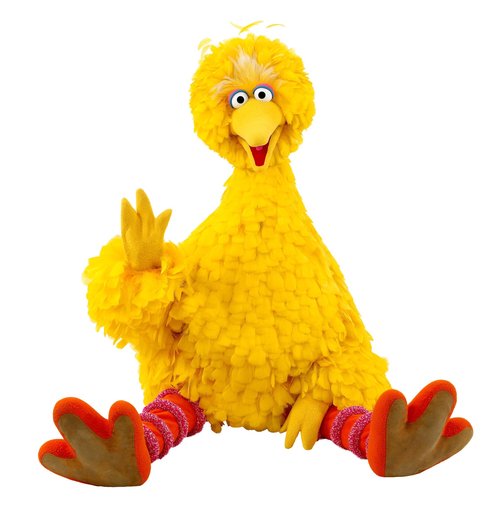 Guy who plays Big Bird drops the saddest story of all time | The ...