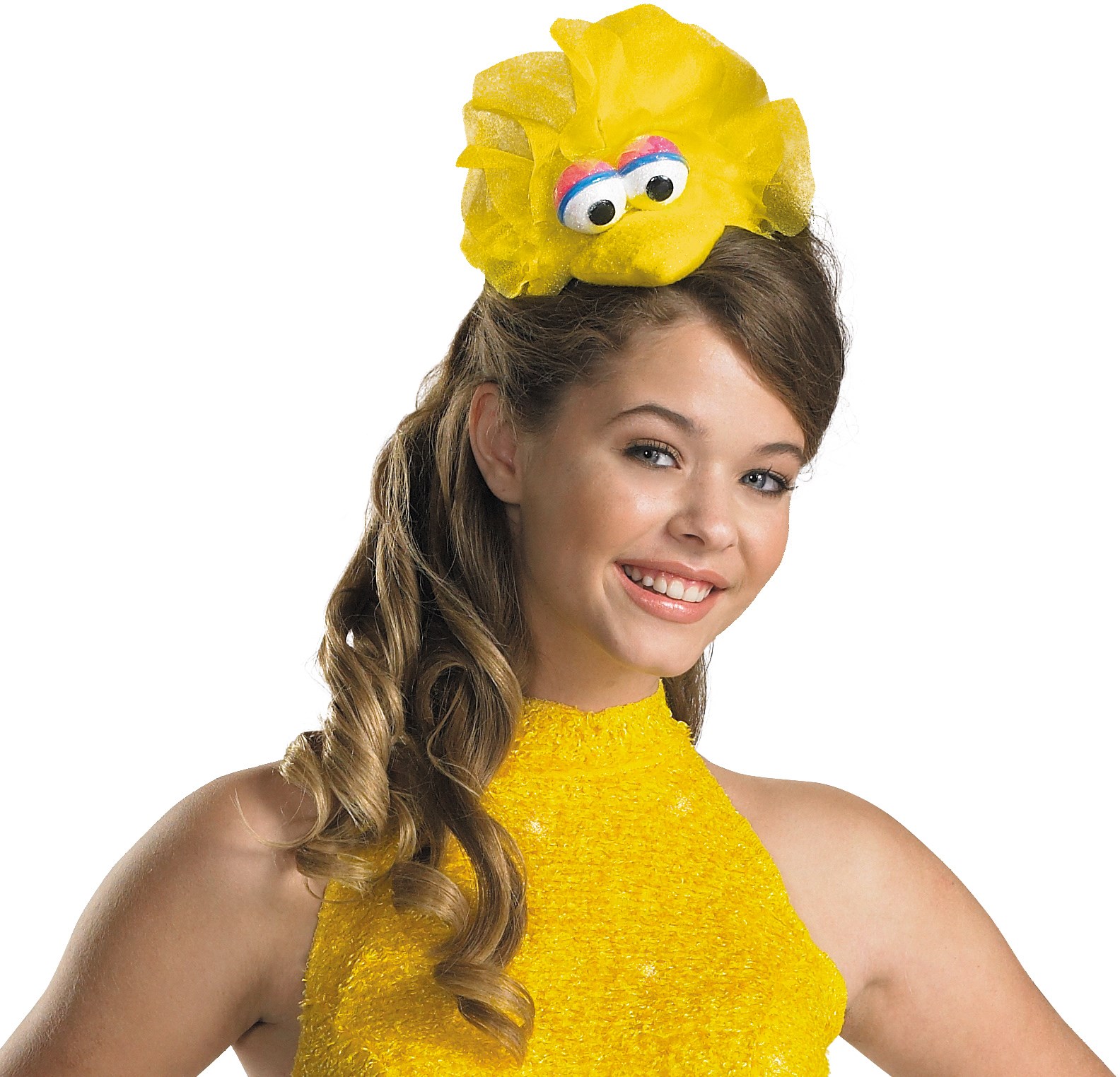 Buy Sesame Street - Big Bird Adult Headband