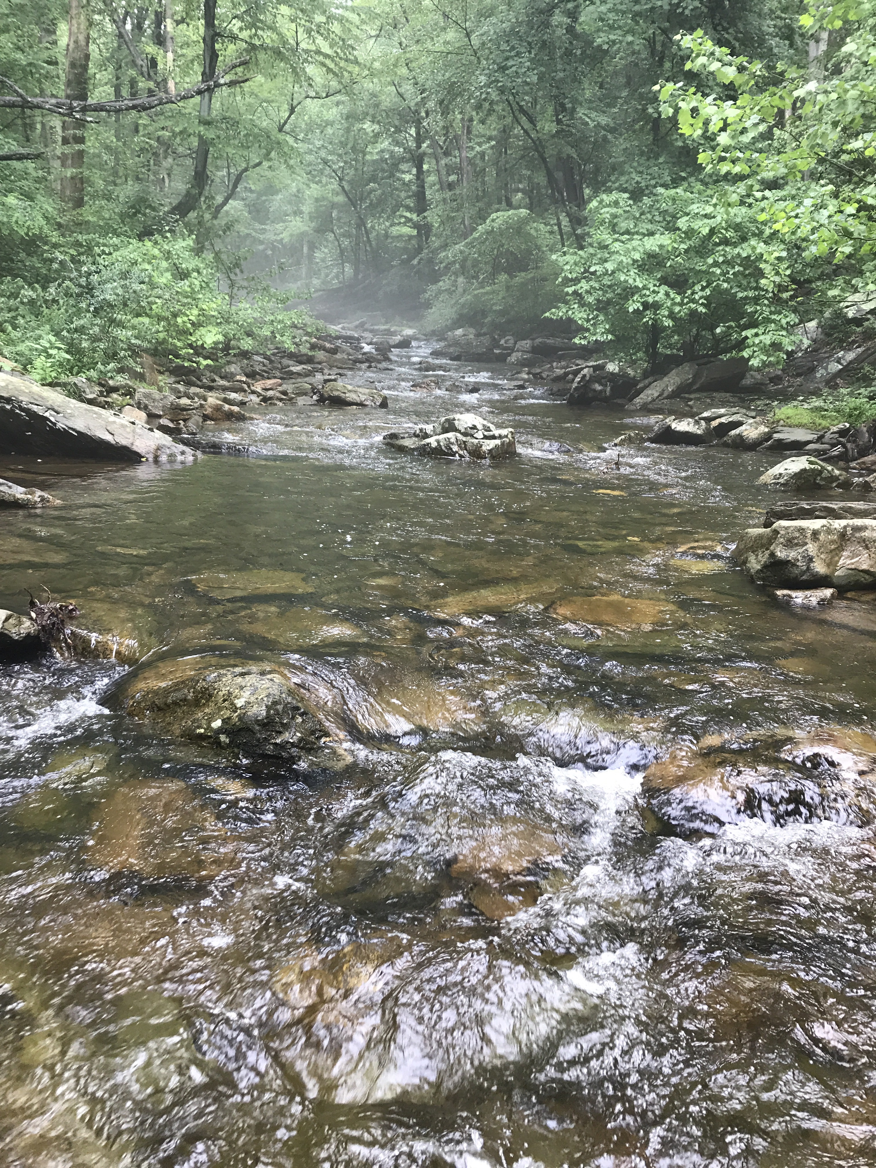 Big Hunting Creek, Thurmont MD « thetroutscout