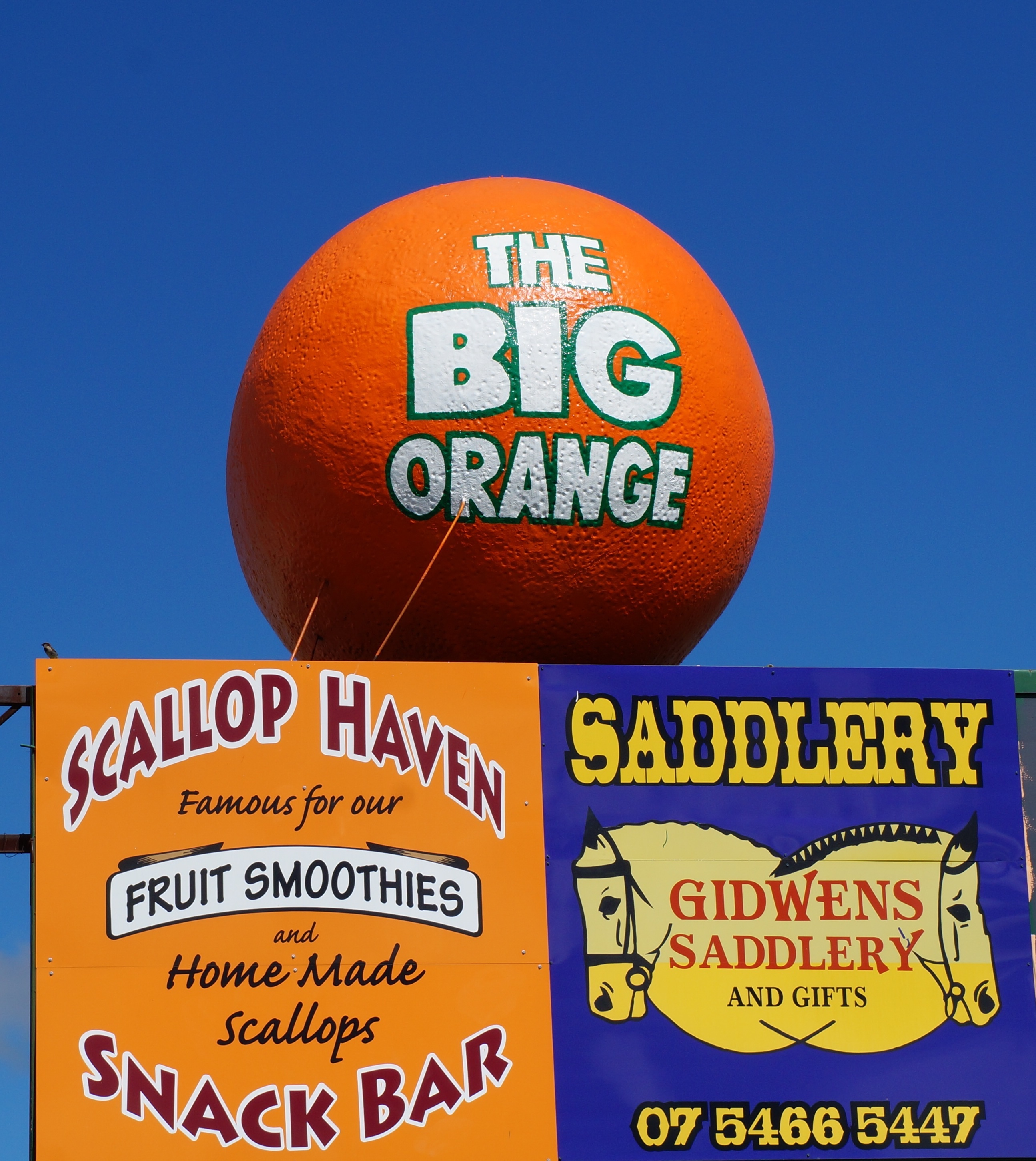 File:The Big Orange.jpg - Wikipedia