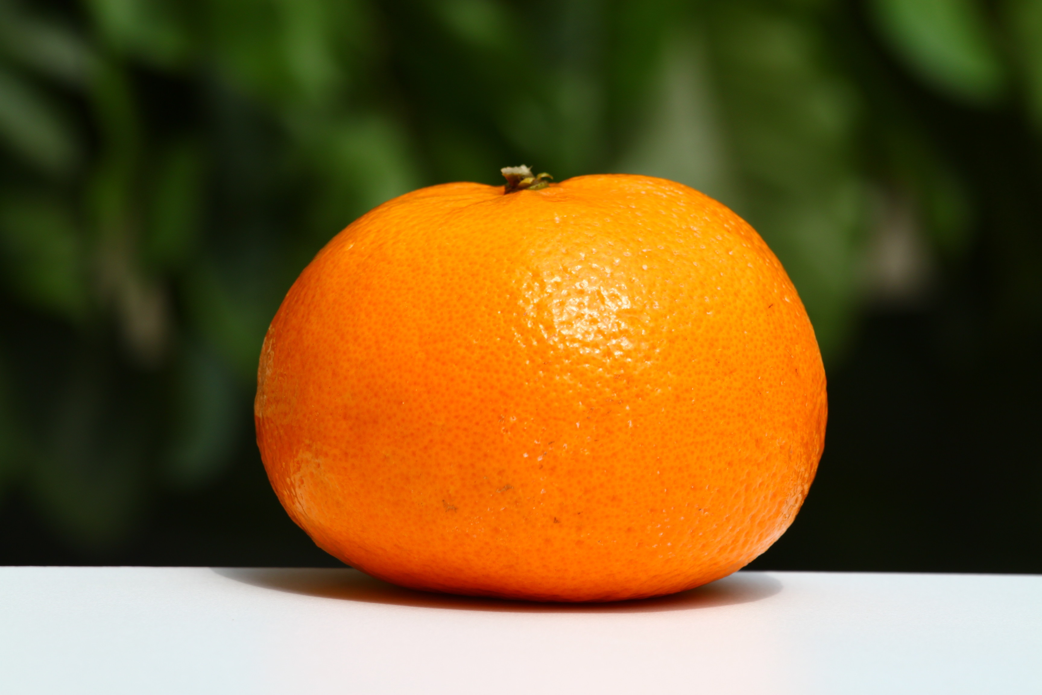 Big orange