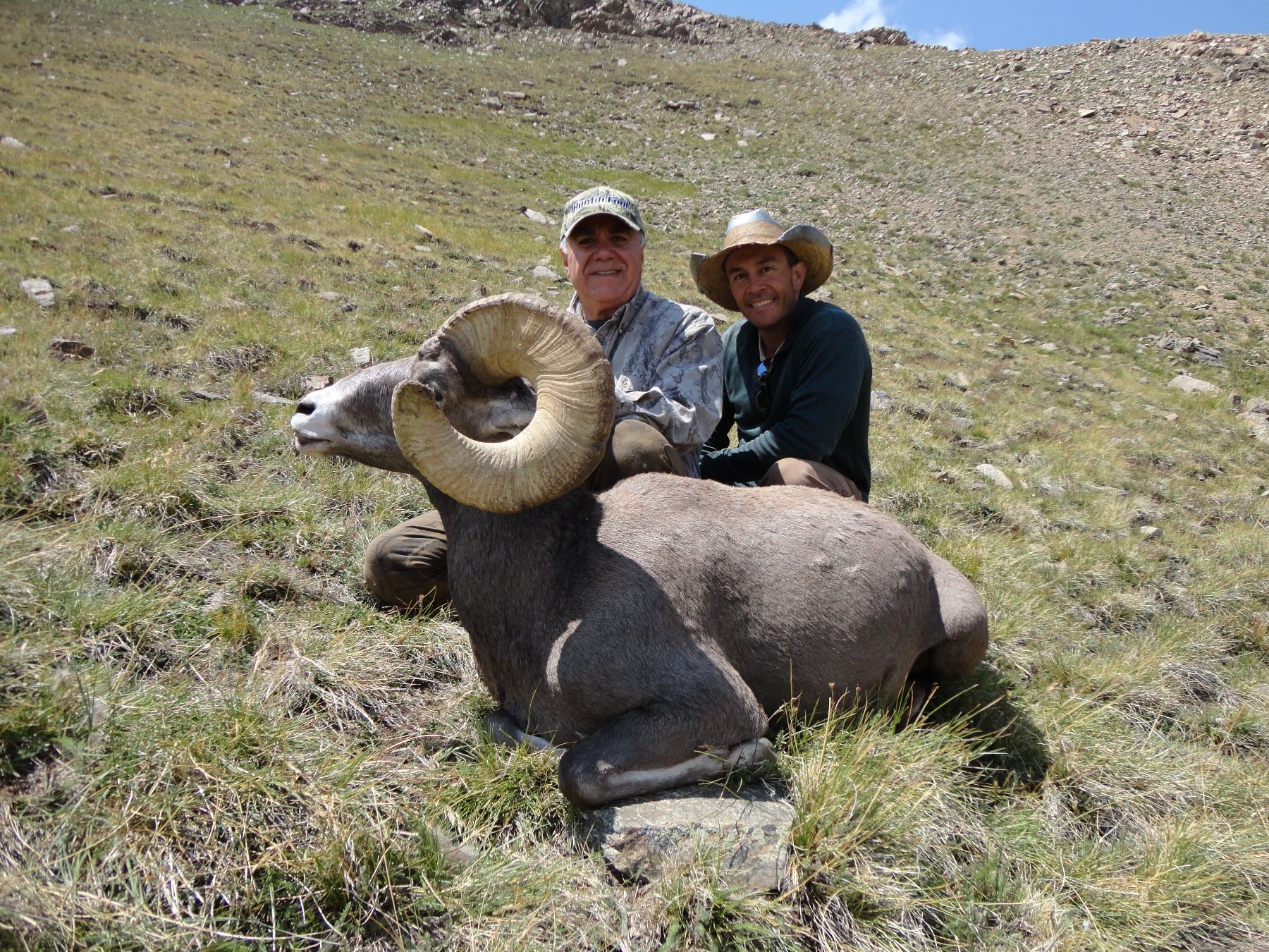 NEW MEXICO DESERT BIGHORN SHEEP PERMIT