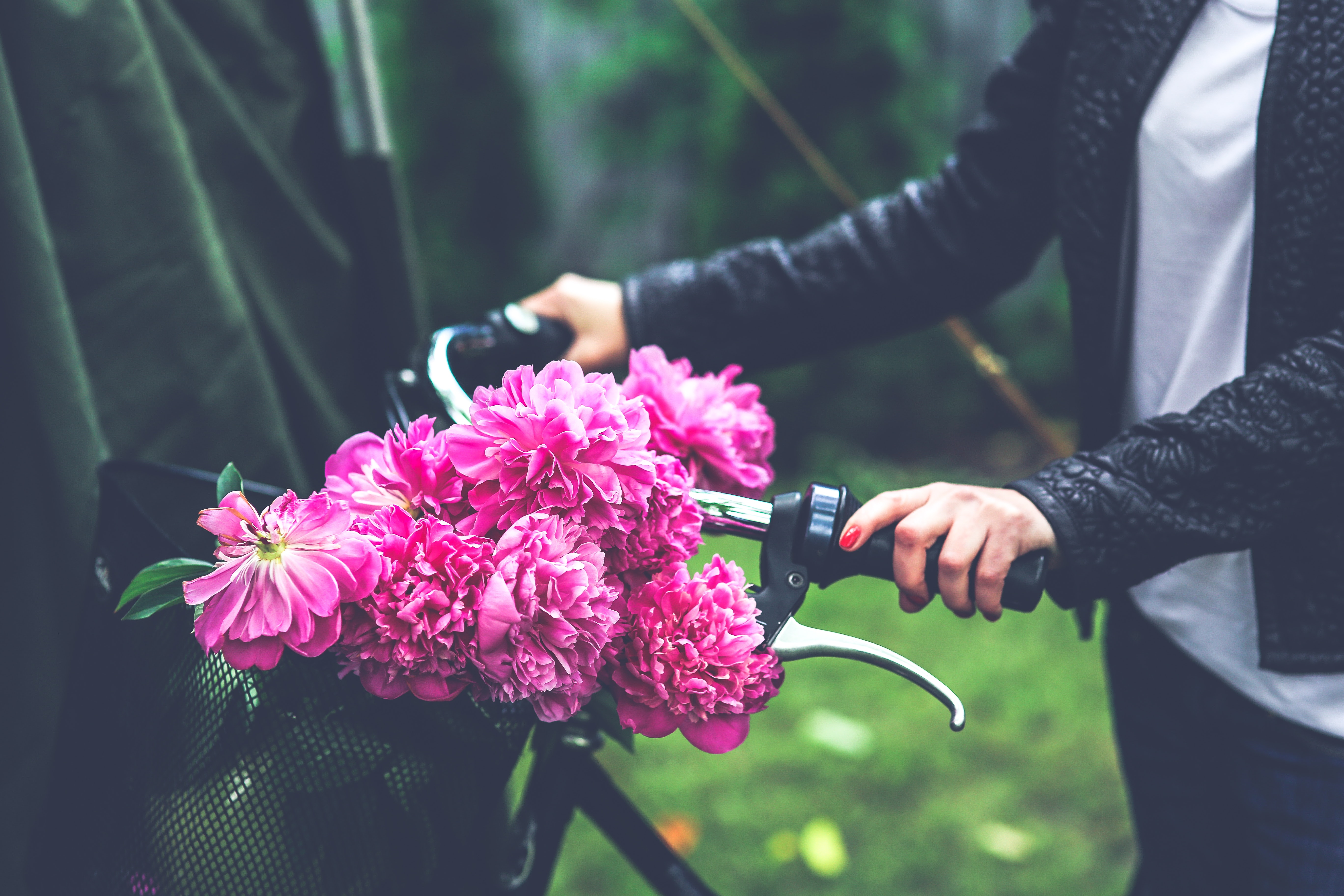 Bike with flower basket photo