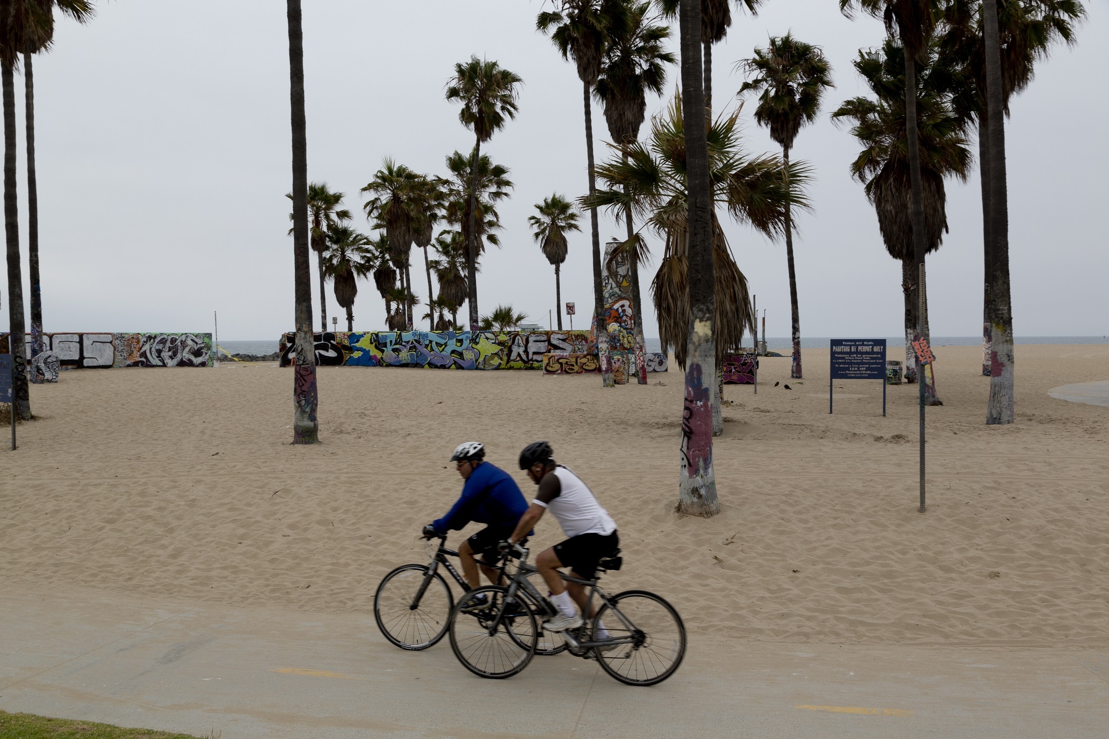 Biking on the beach photo