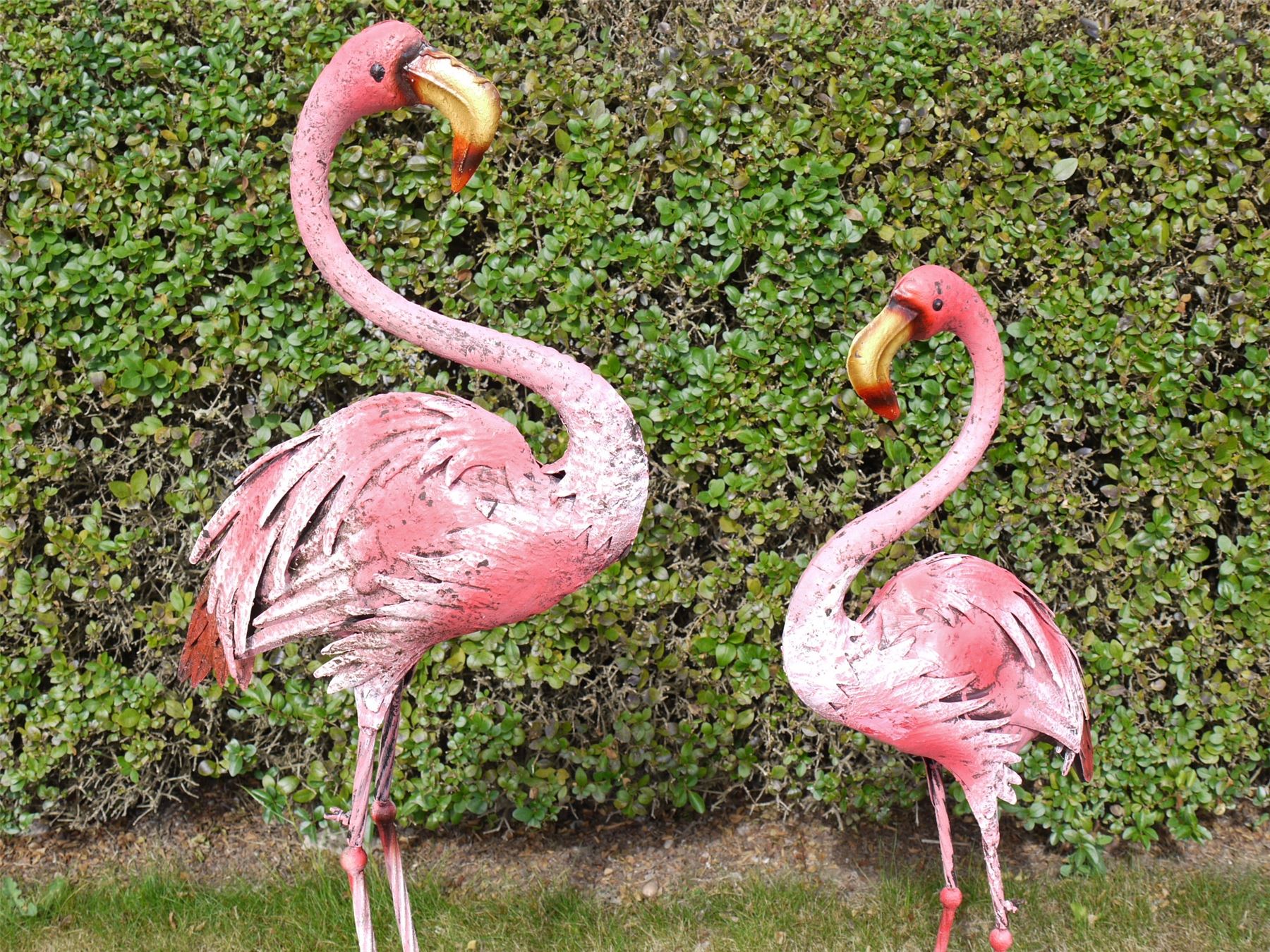 Francis the Flamingo Garden Ornaments / Statues - in Two Sizes | eBay