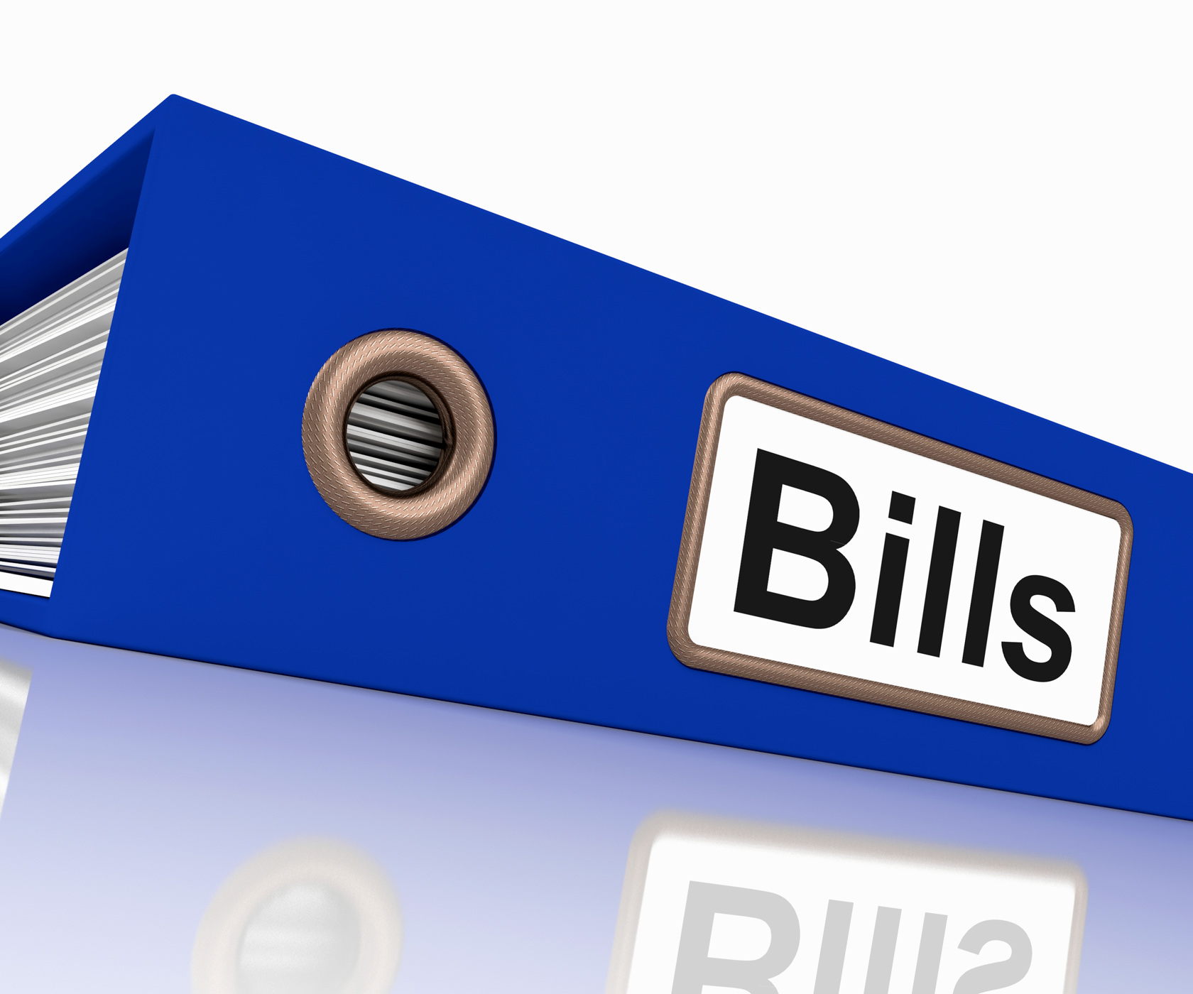 Bills file shows accounting and payments due photo