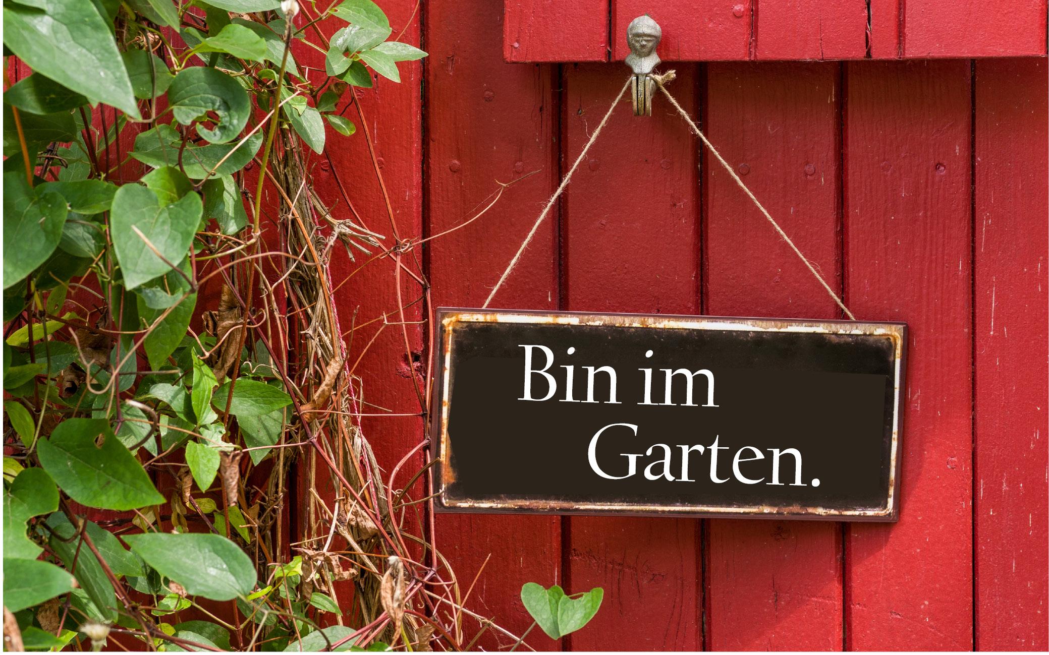 Das Buch zur Gartenkolumne: Bin im Garten - Magazin - Welt ...