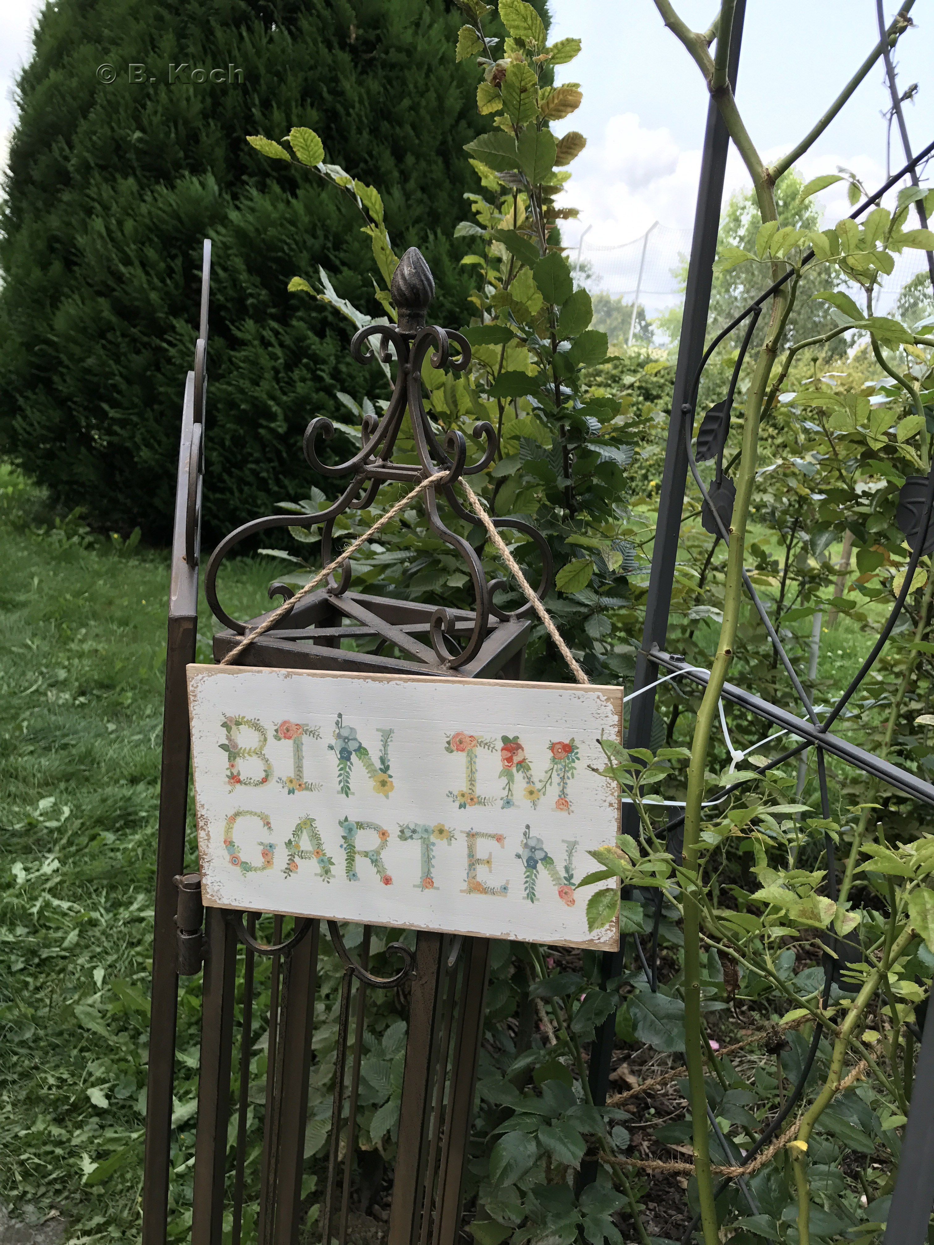 Der Blick in den Garten | Brittas Kochbuch