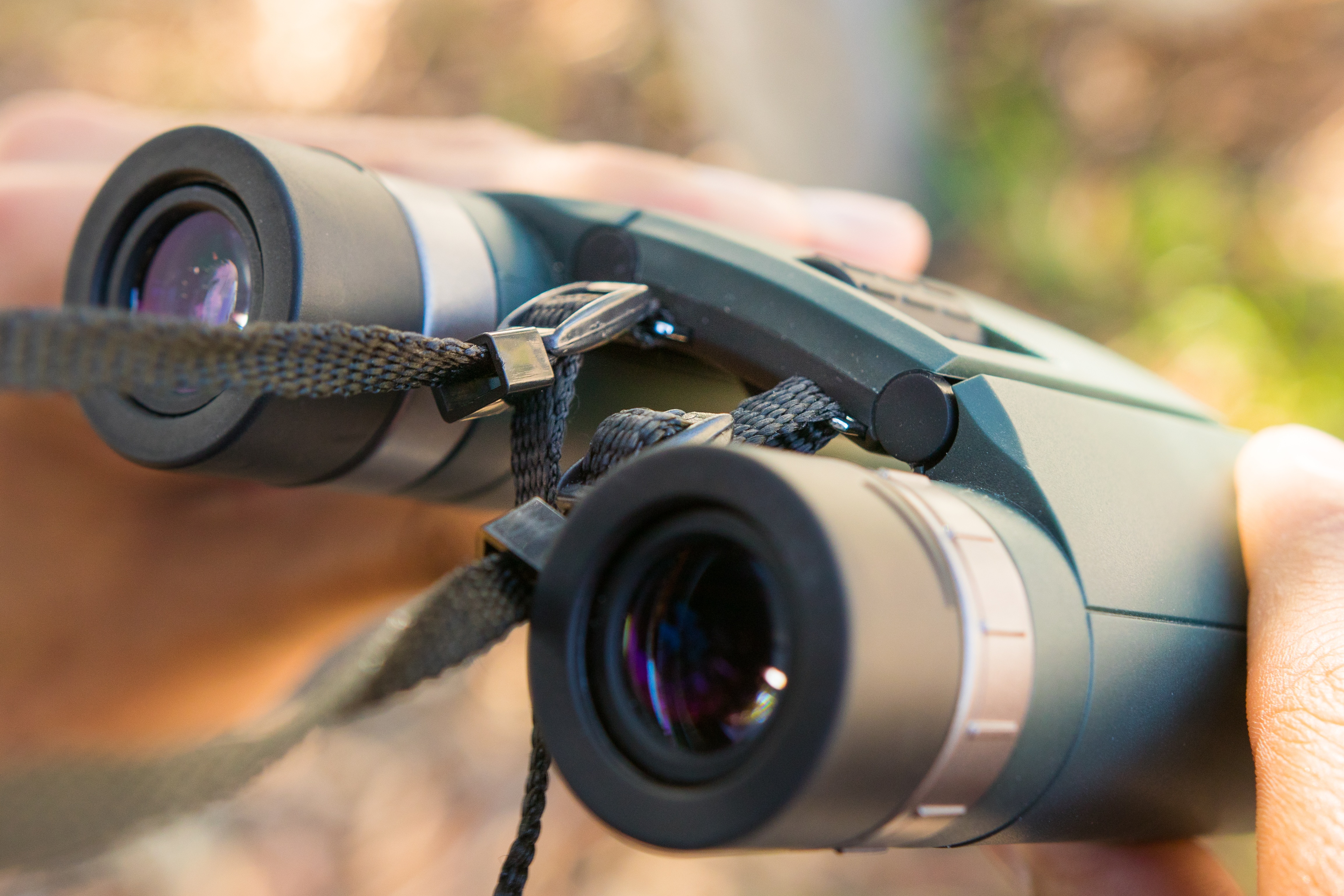 The Best Binoculars for Birds, Nature, and the Outdoors: Reviews by ...