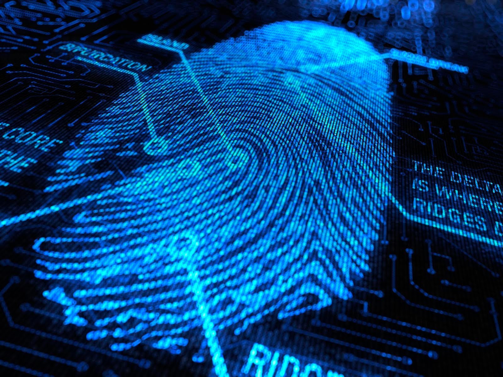 Fingerprint-i.t – Fingerprint Identification Technology