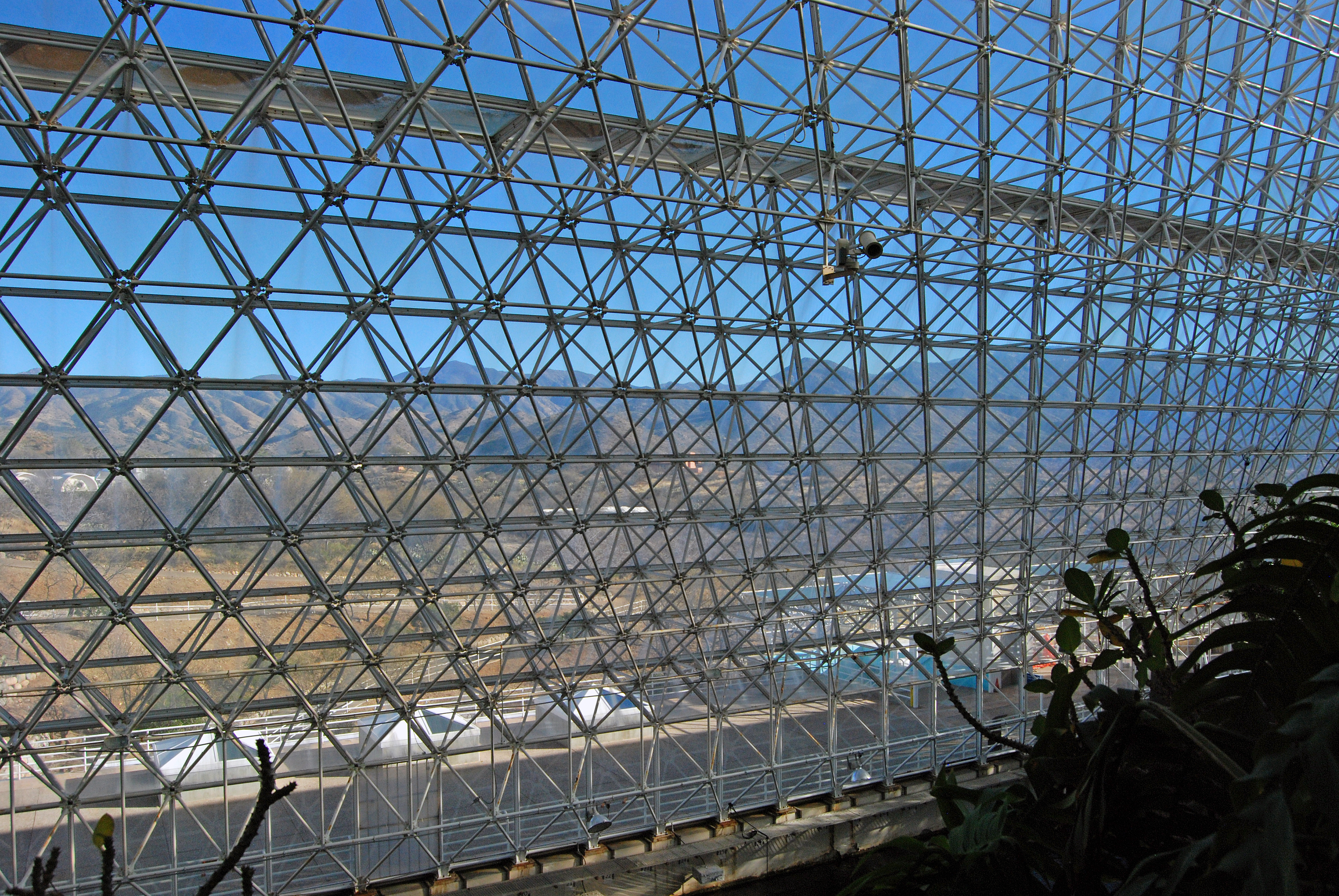 Biosphere mesh photo