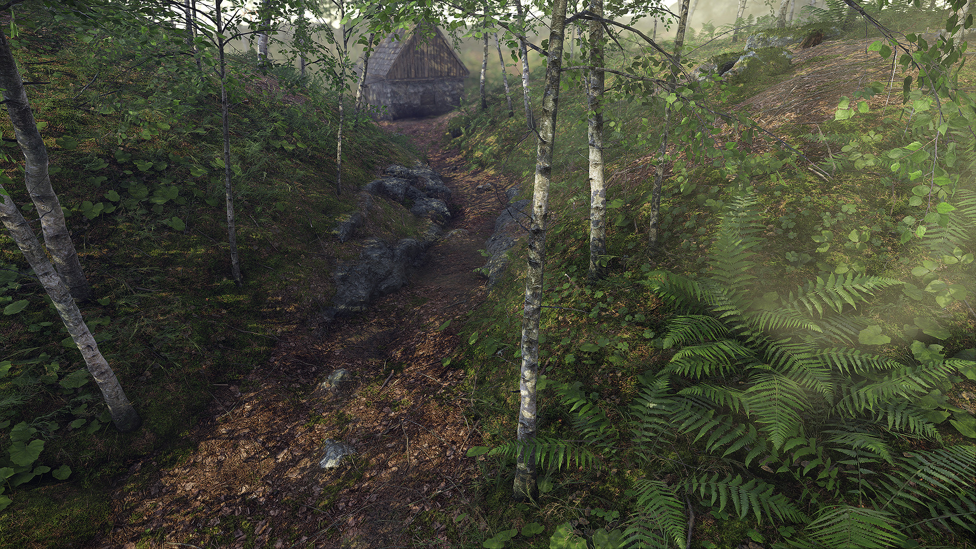 Community Spotlight - Birch Forest by Johan Stoerkersen